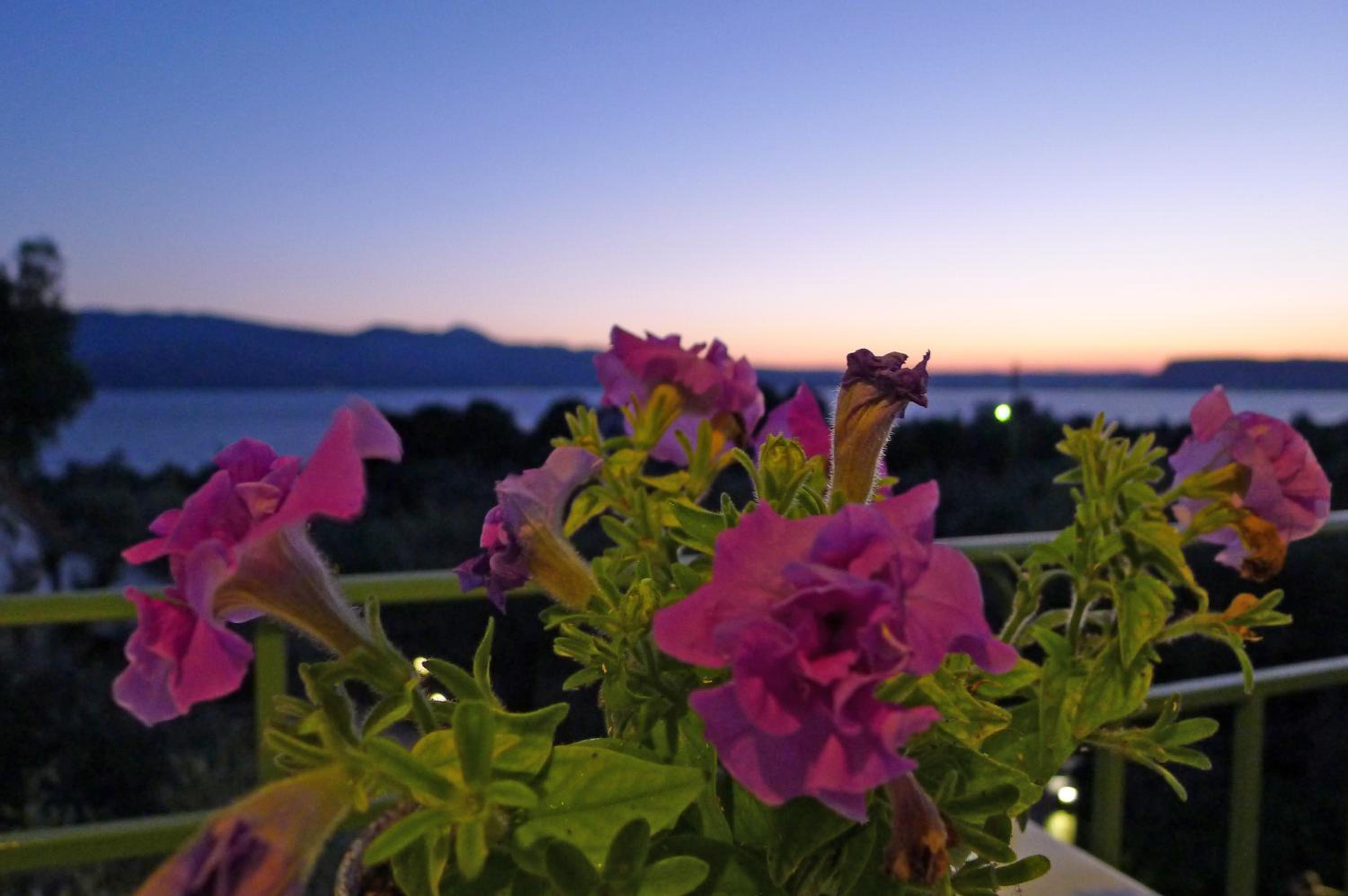 Deluxe Double Room with Balcony and Sea View - Photo 2