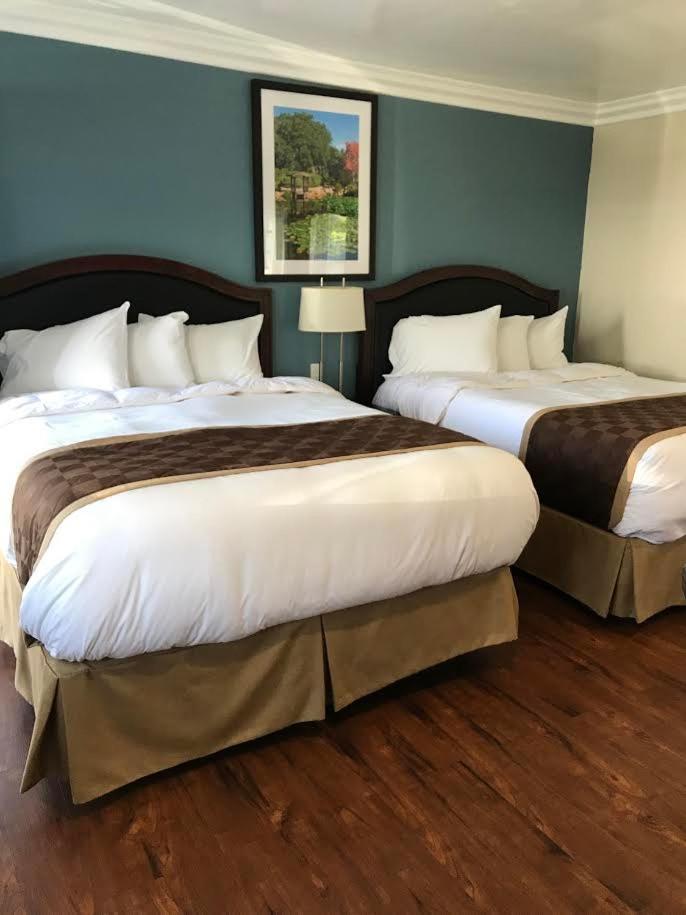 Queen Room with Two Queen Beds - Photo 9