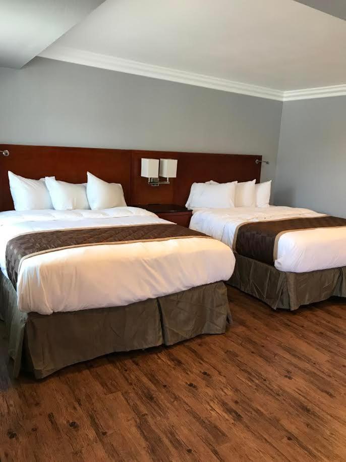 Queen Room with Two Queen Beds - Photo 1