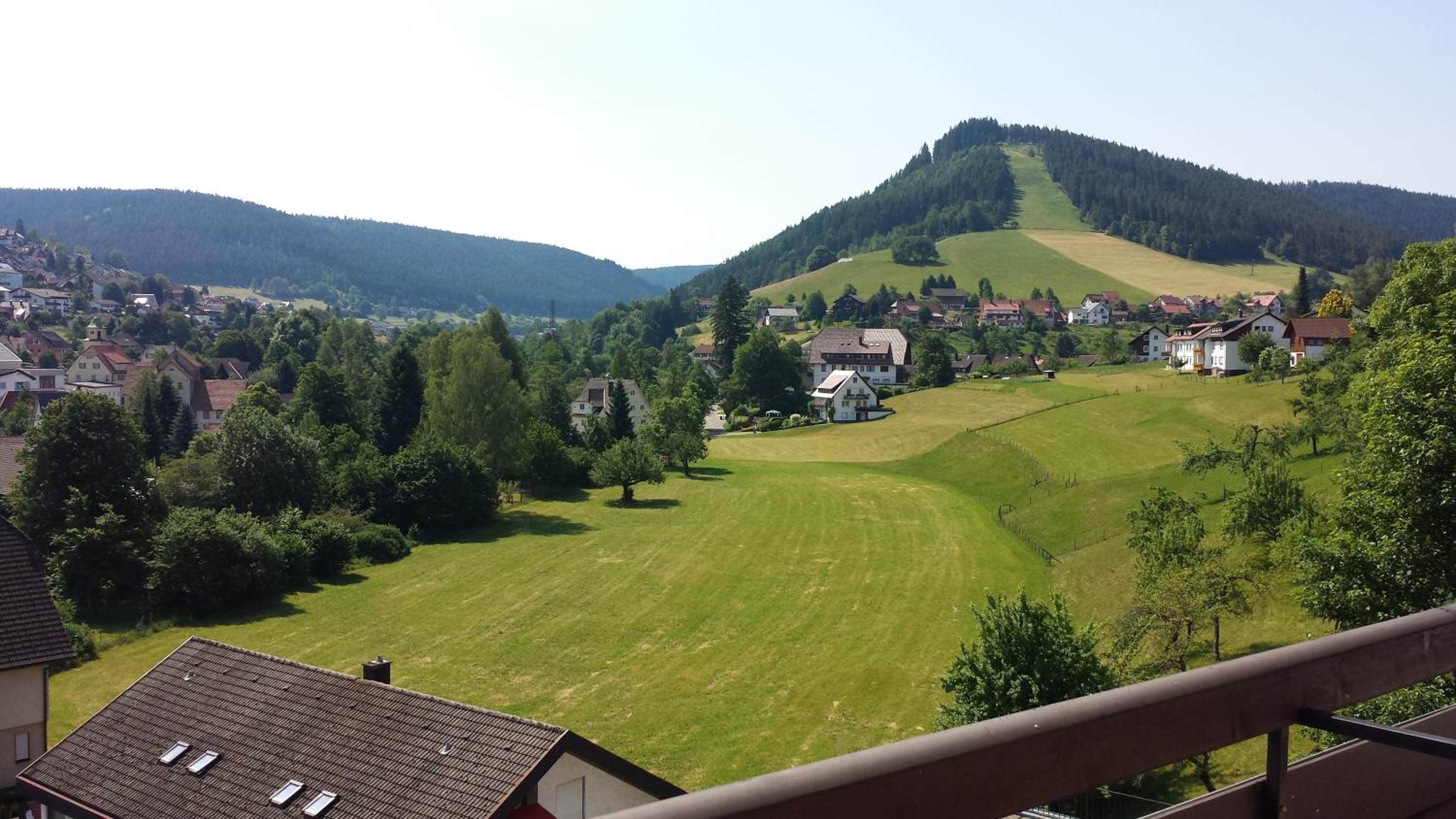 Double Room with Balcony photo 3