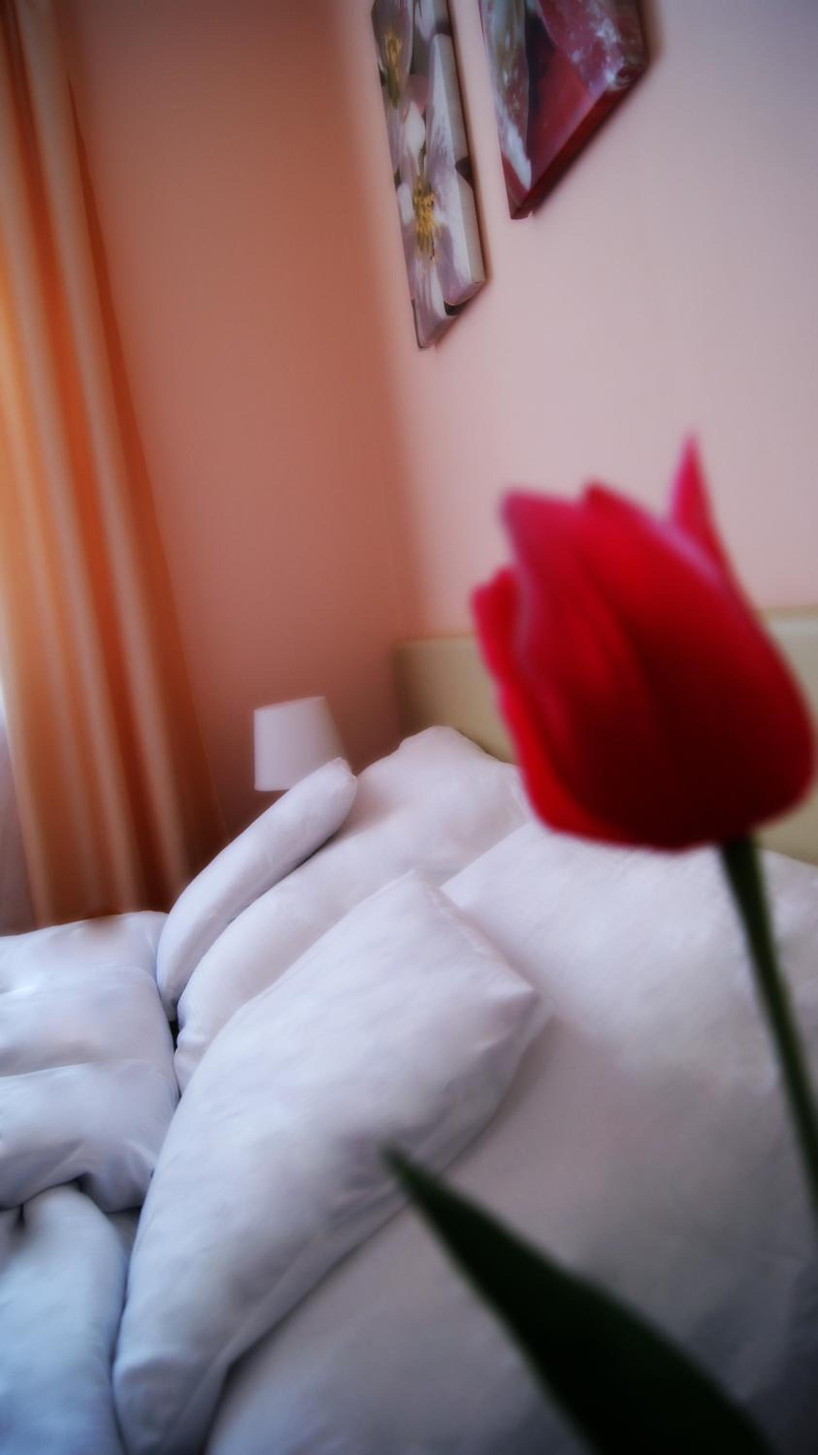 Double or Twin Room - Photo 4