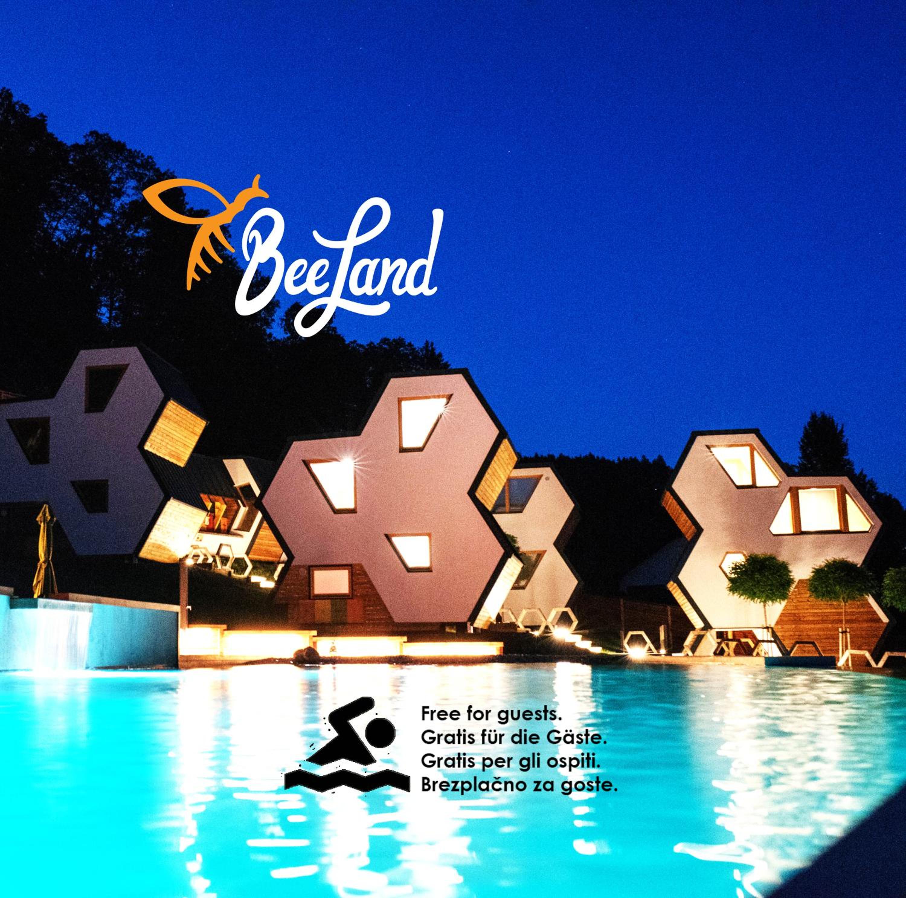 Chalet photo 2