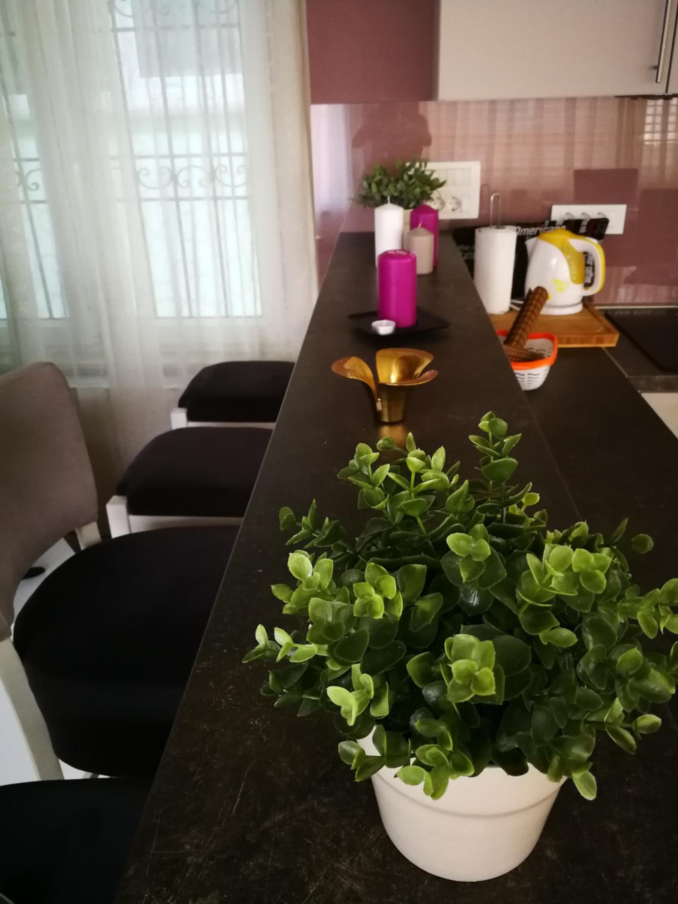Apartment 2 - Photo 5