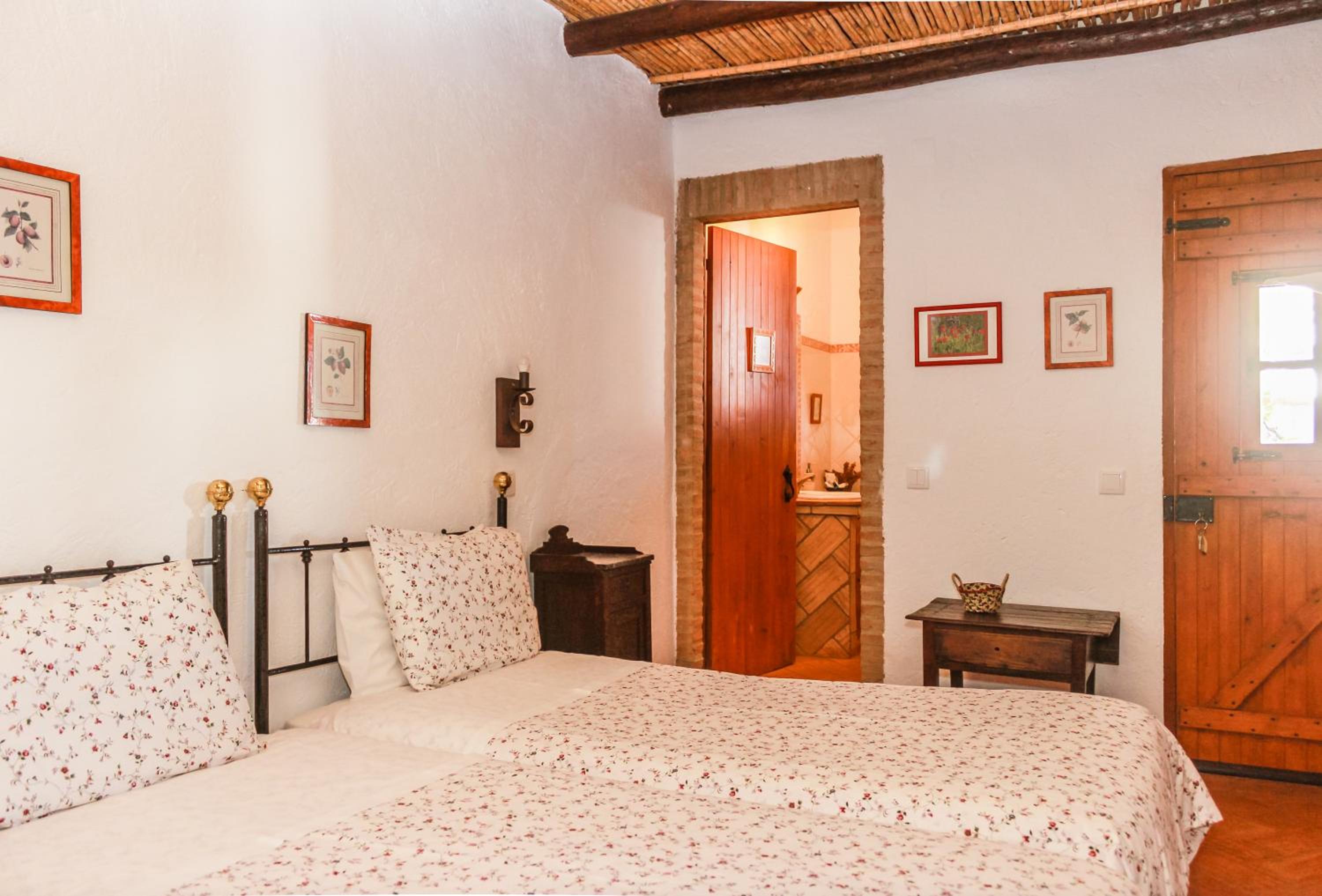 Apartment with Terrace photo 1