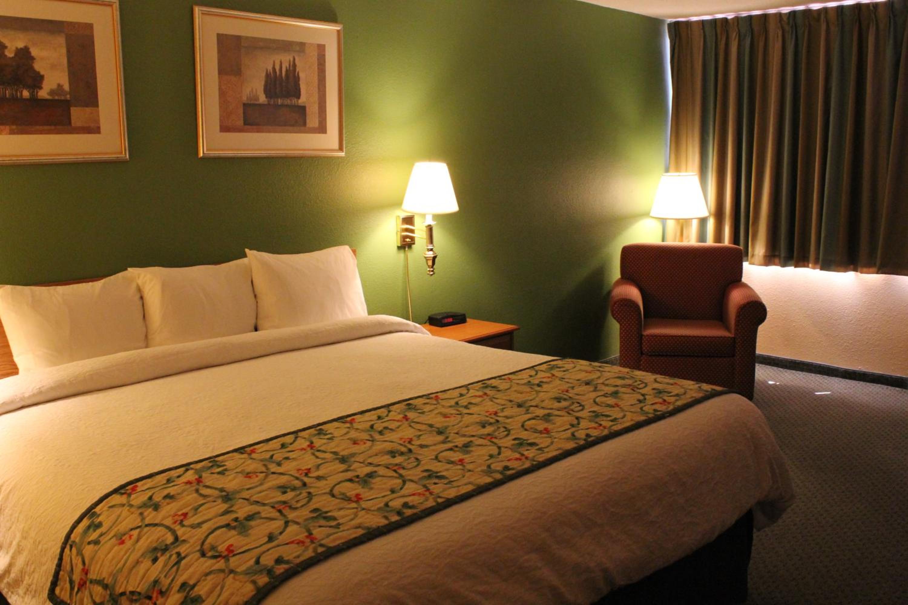 King Room- Non-Smoking - Photo 3