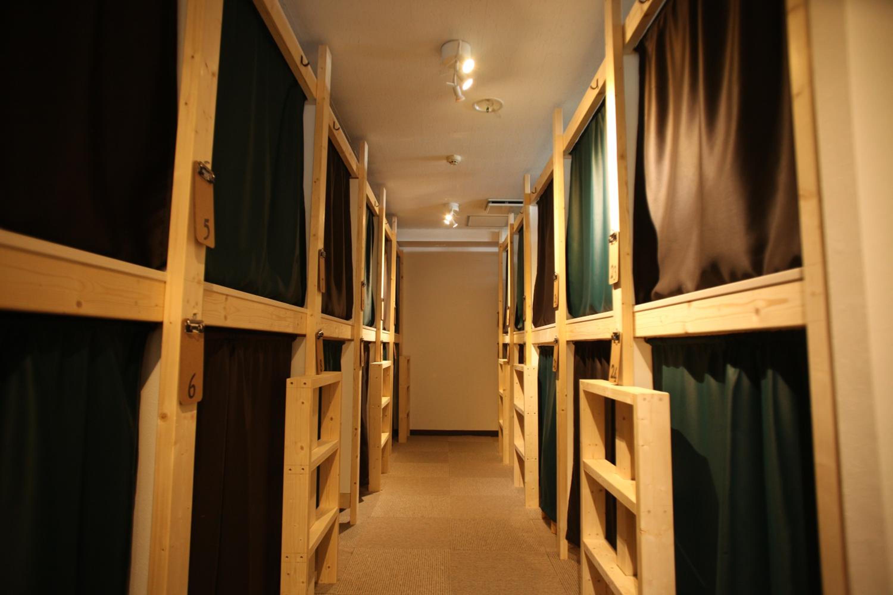 Bunk Bed in Mixed Dormitory Room photo 2