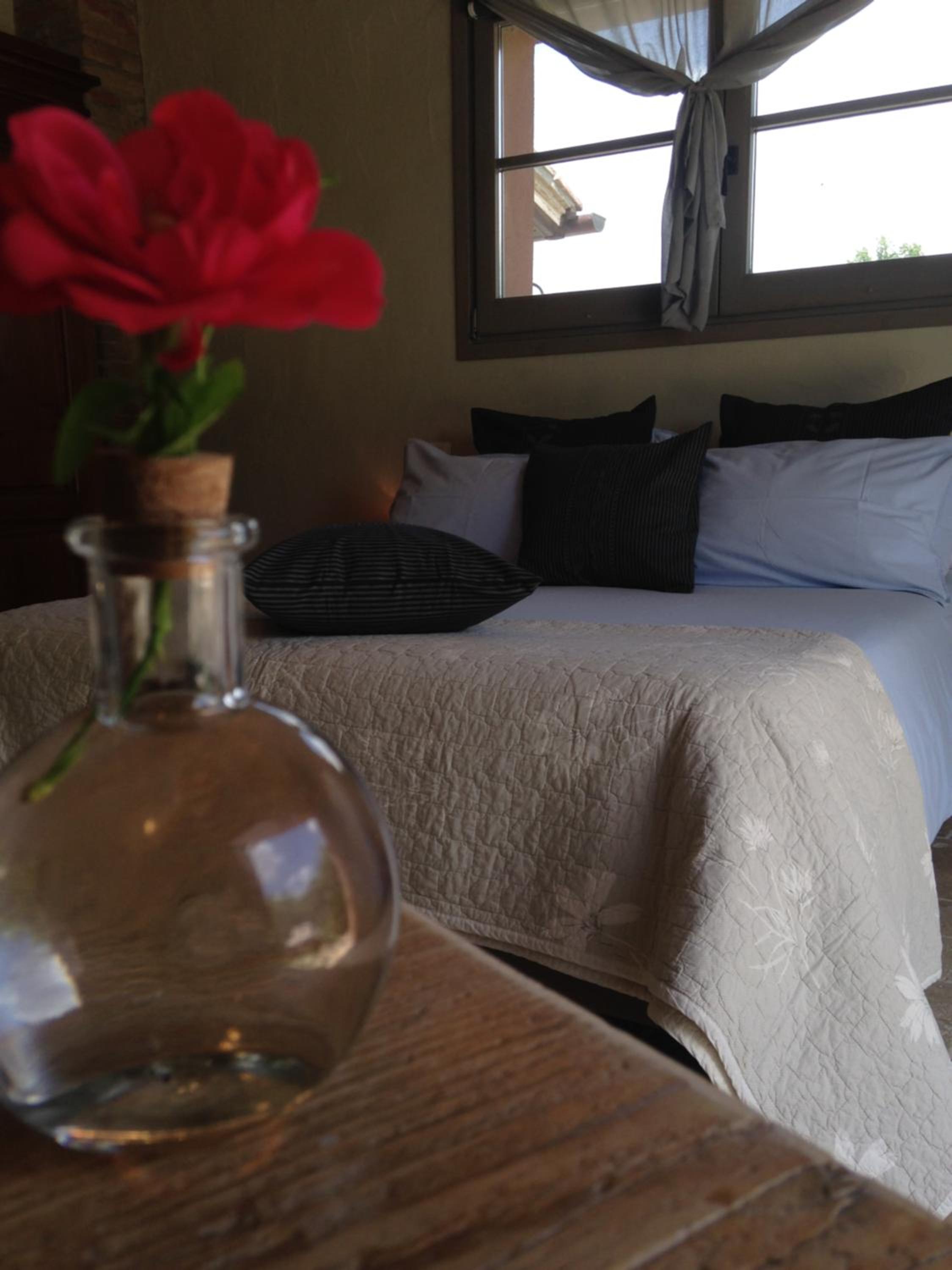 Suite - Photo 12