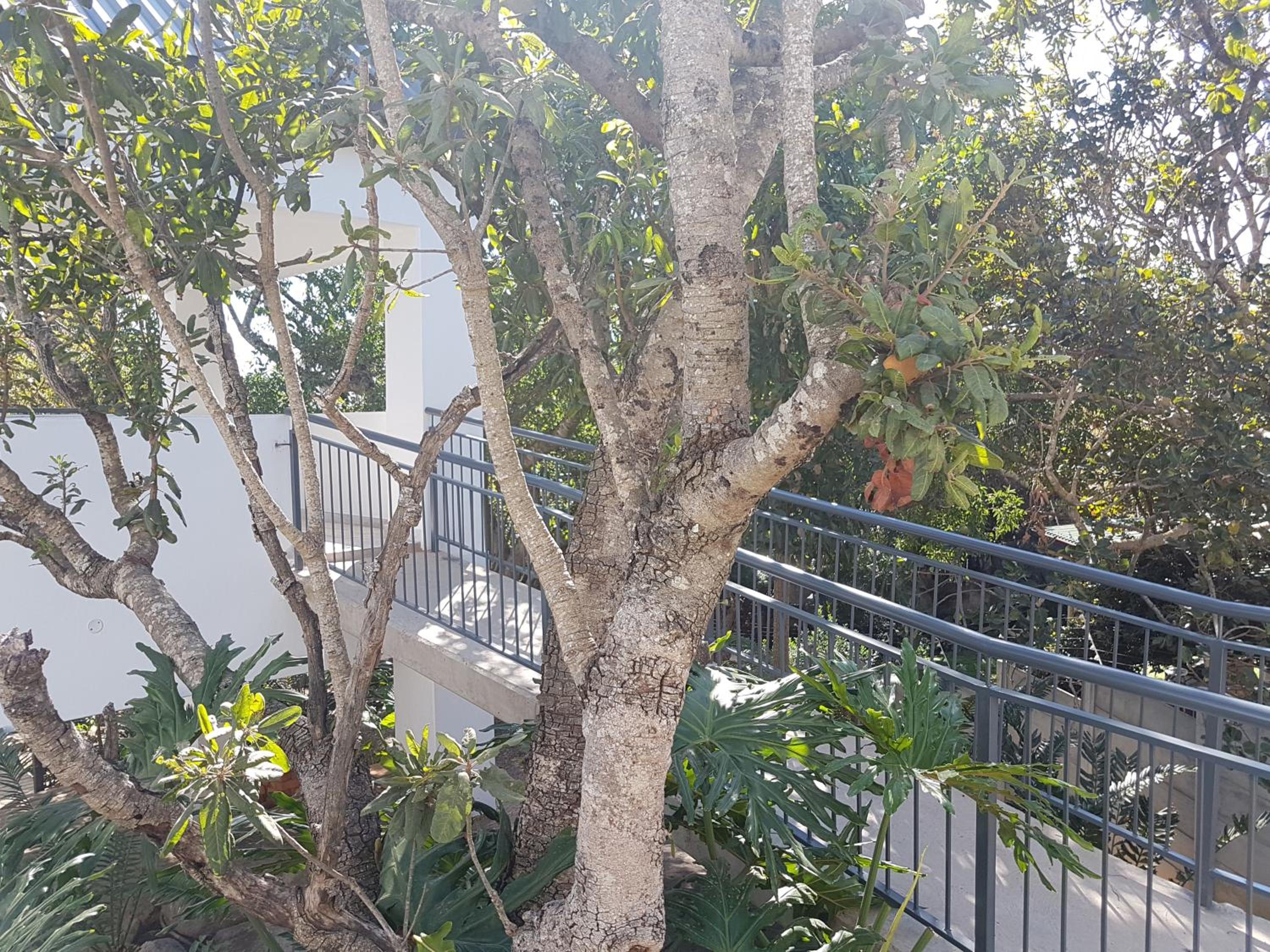 Apartment with Balcony photo 3