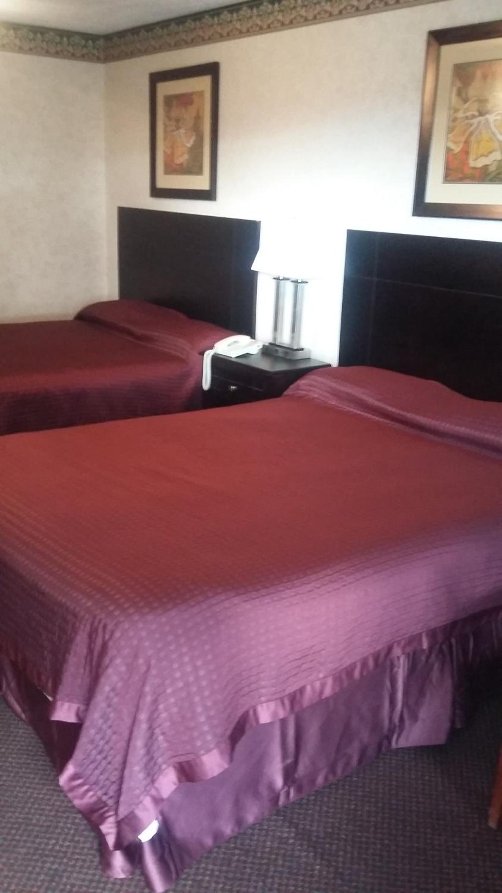 Double Room with Two Double Beds