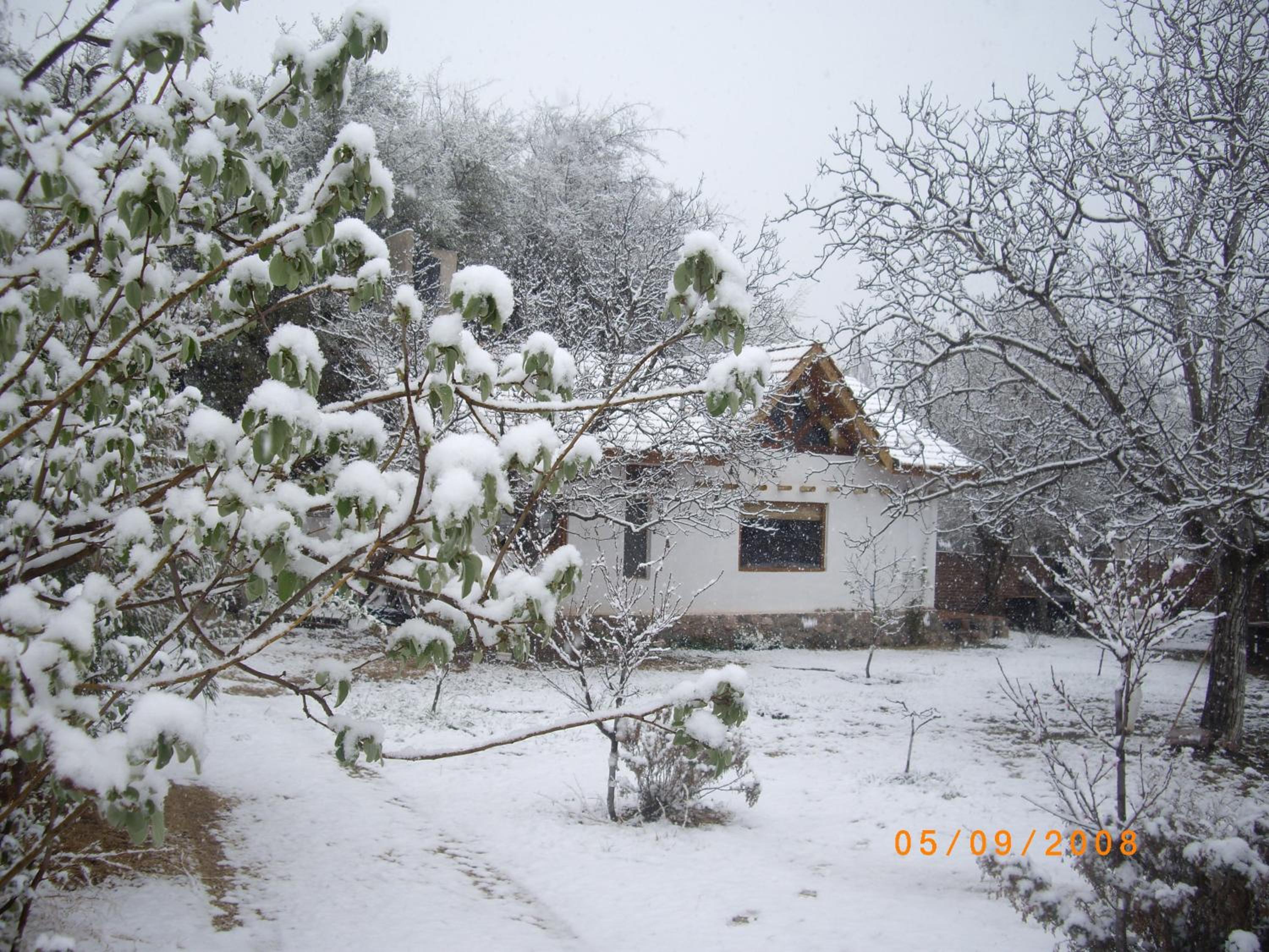Family Bungalow photo 3