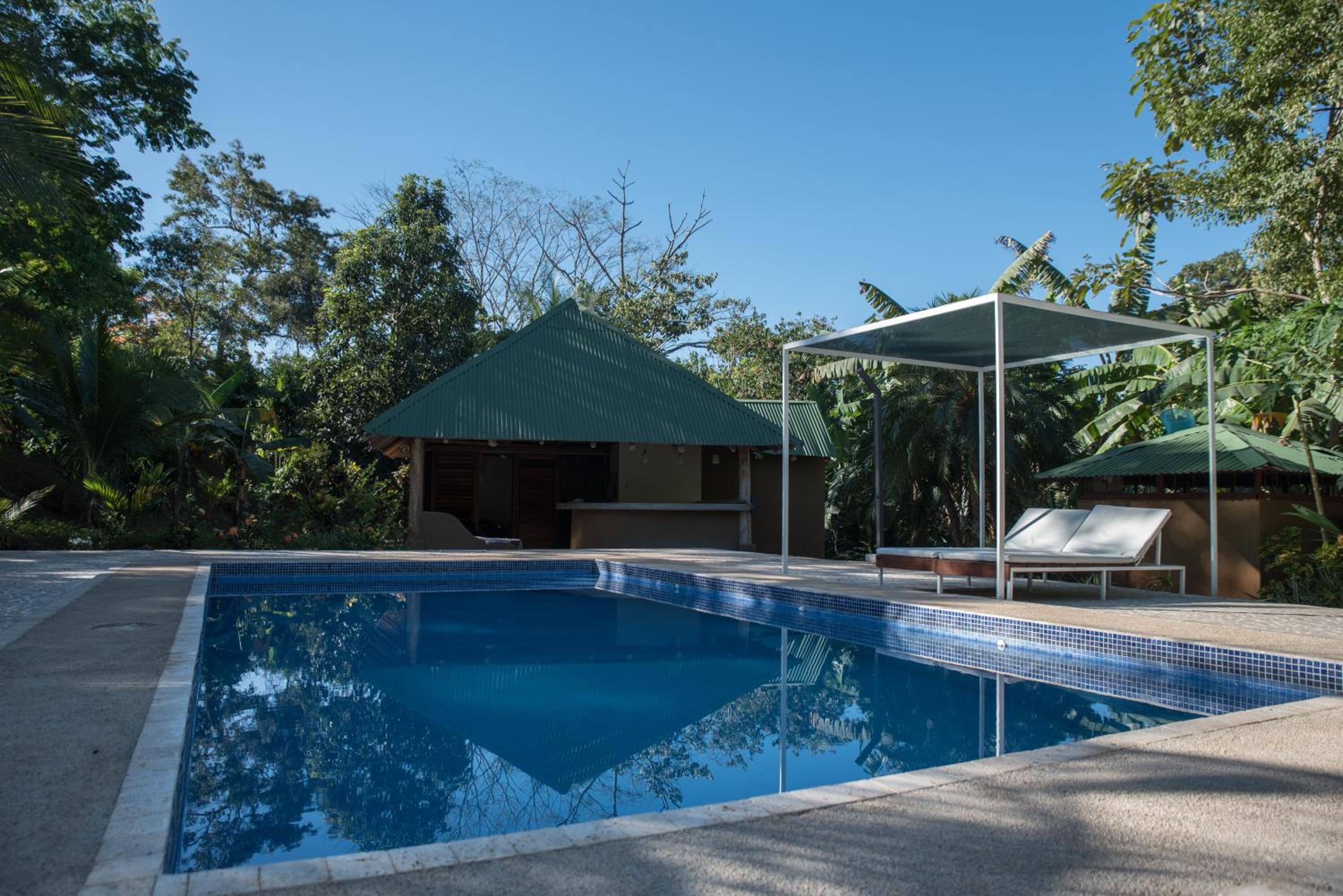 Double Room with Pool View photo 3