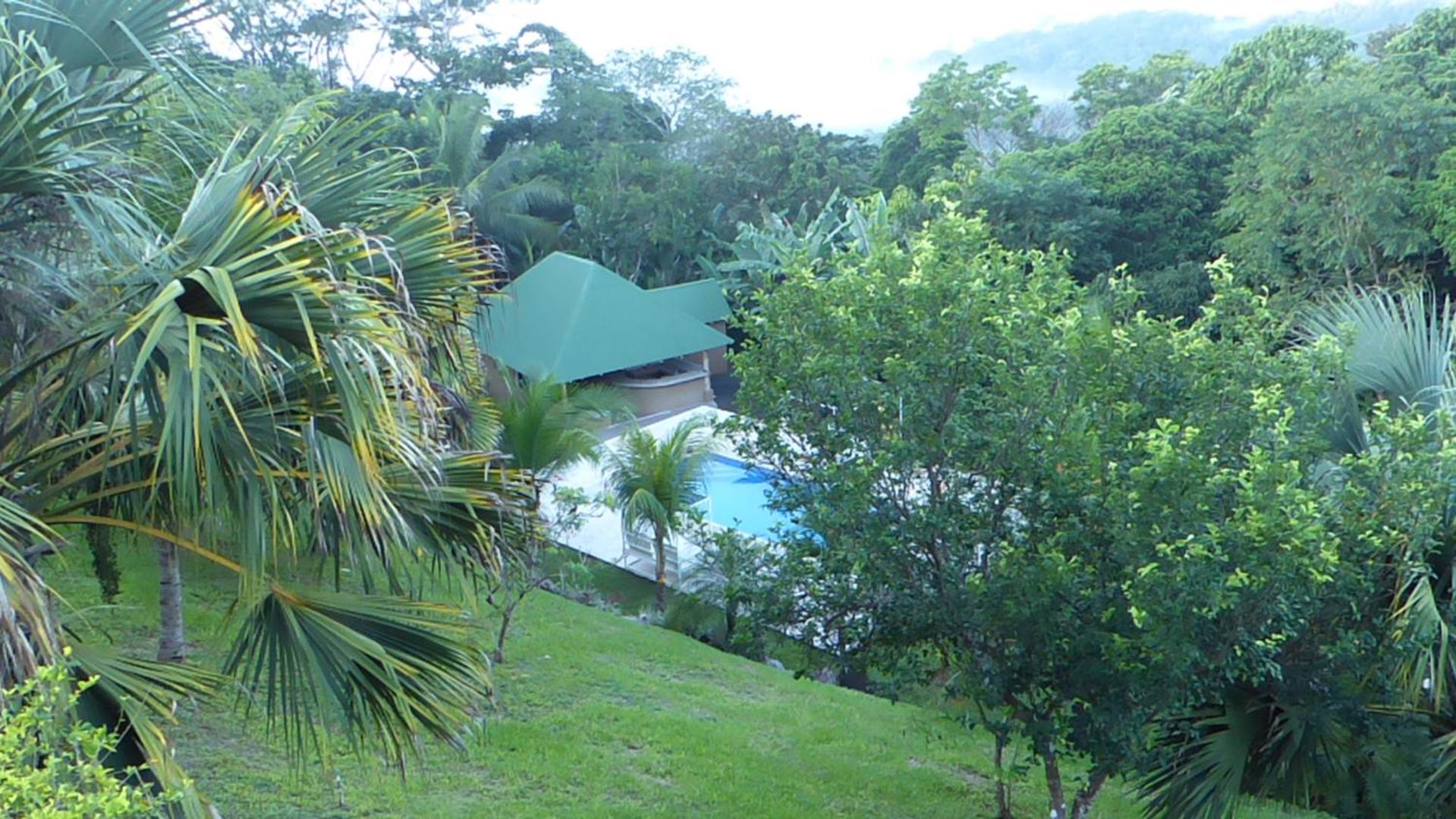 Double Room with Pool View photo 1