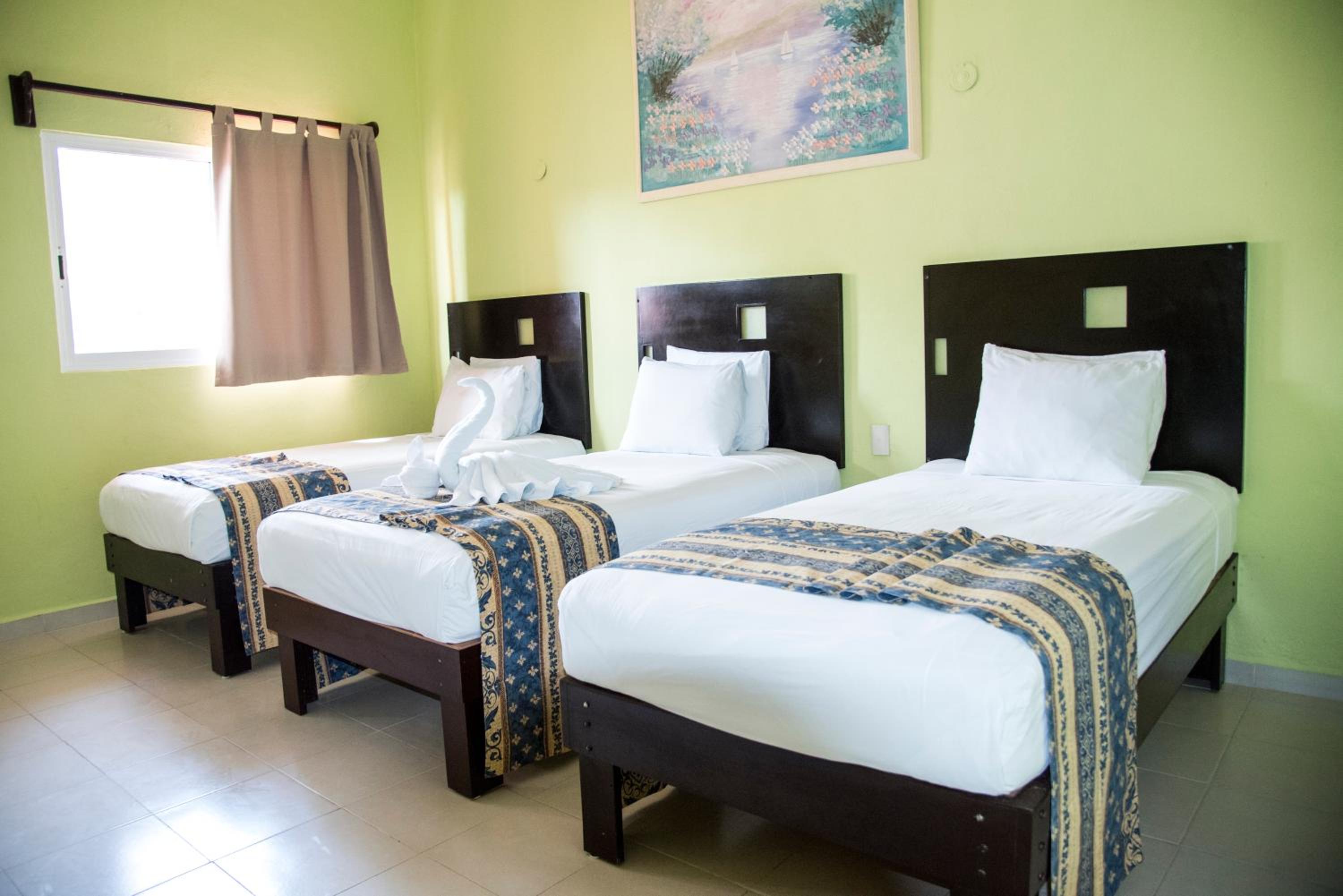 Triple Room photo 1