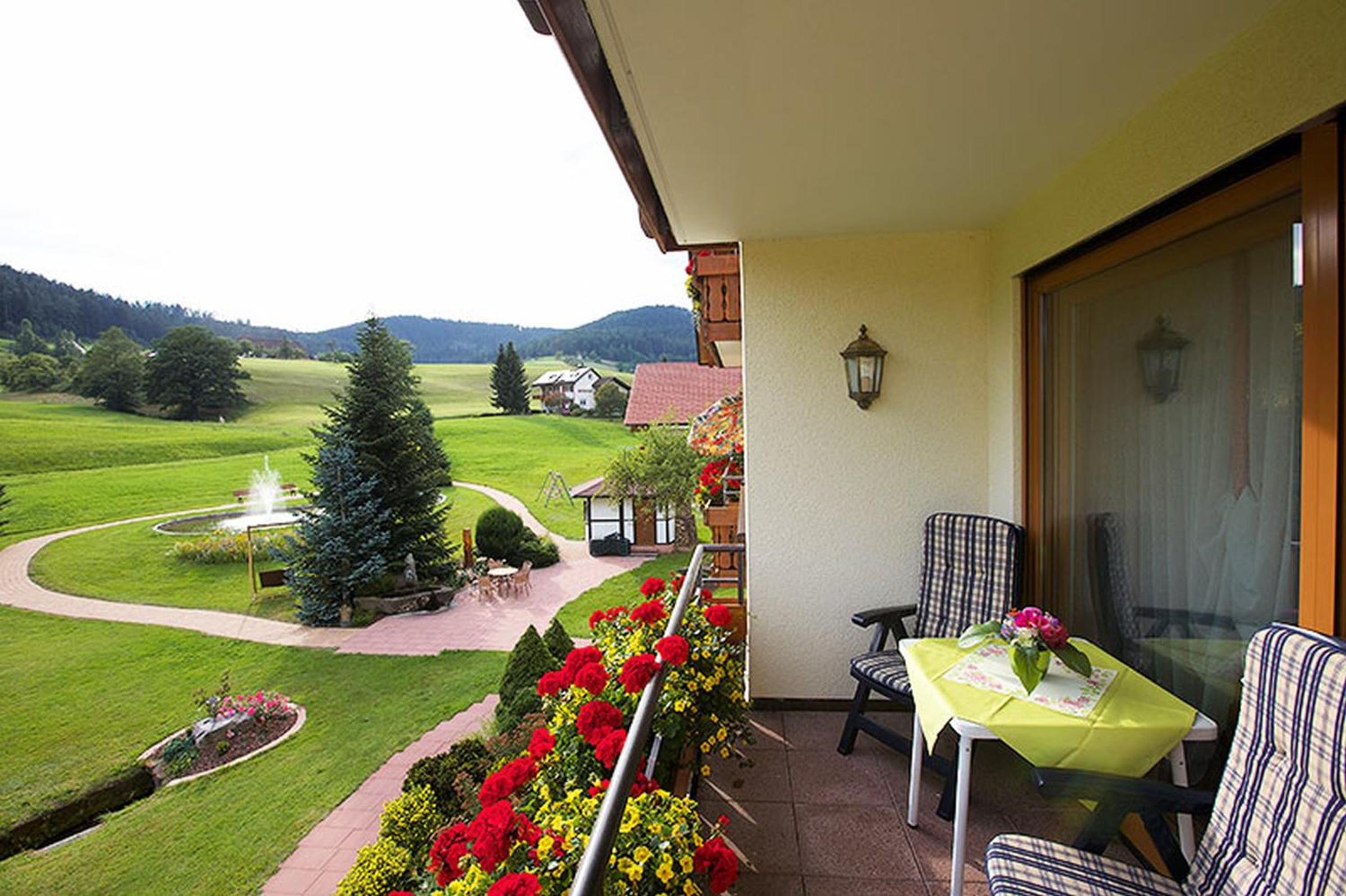 Superior One-Bedroom Apartment with Balcony photo 3