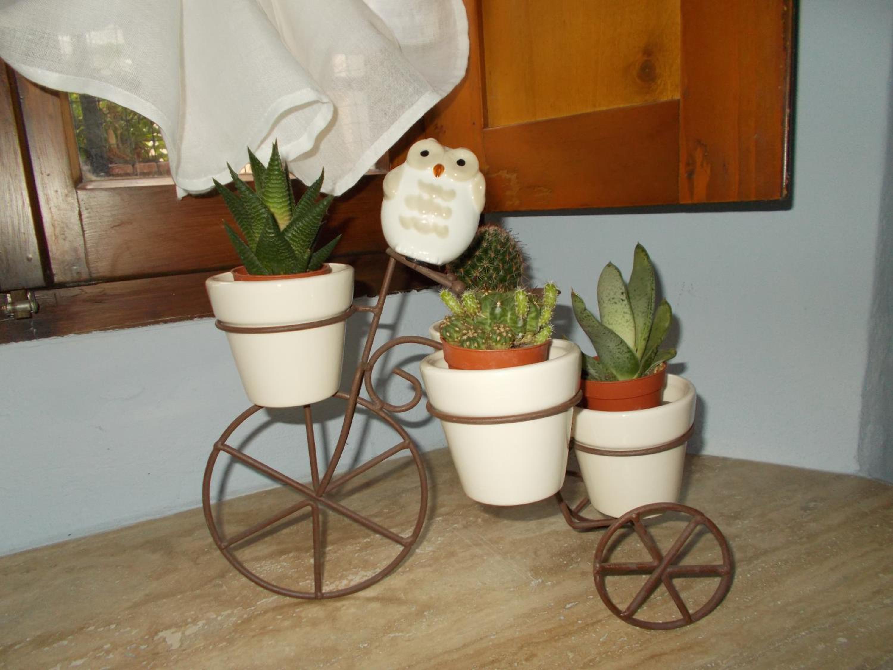 Apartment - Photo 4