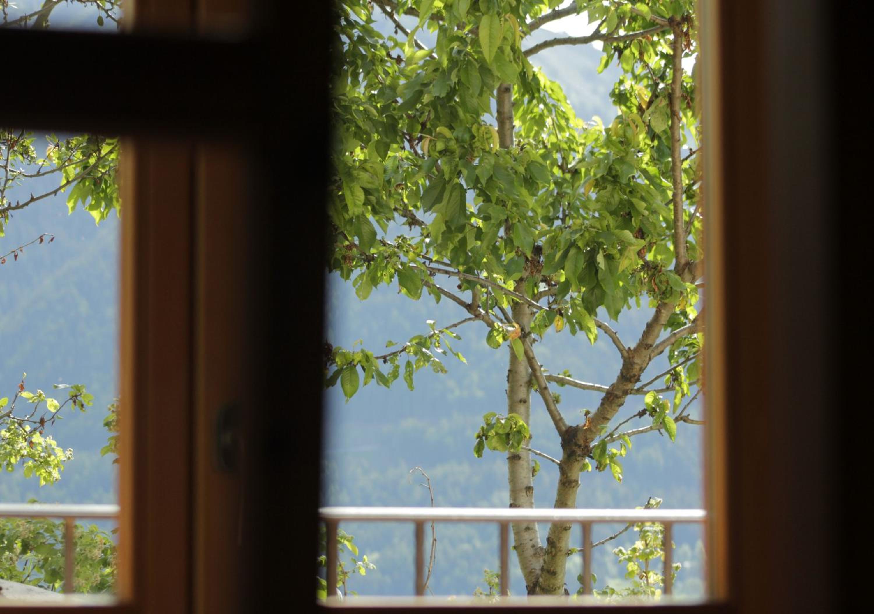 Standard Double Room with Mountain View - Photo 12