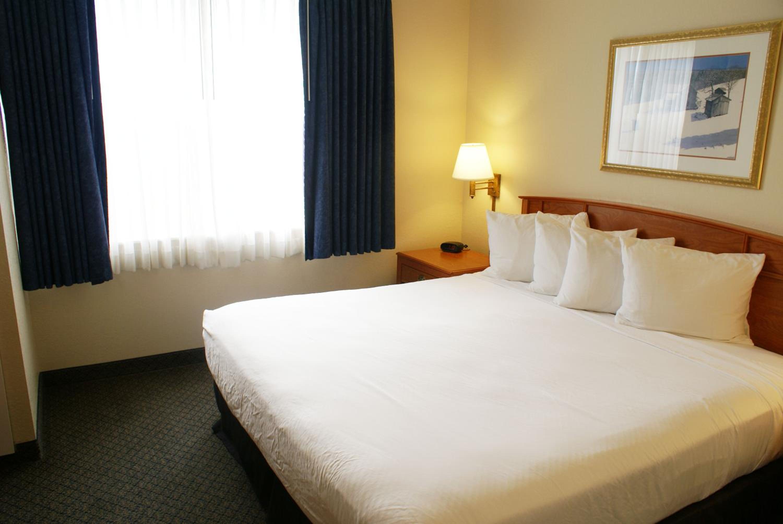 One-Bedroom King Suite with Sofa Bed - Photo 4