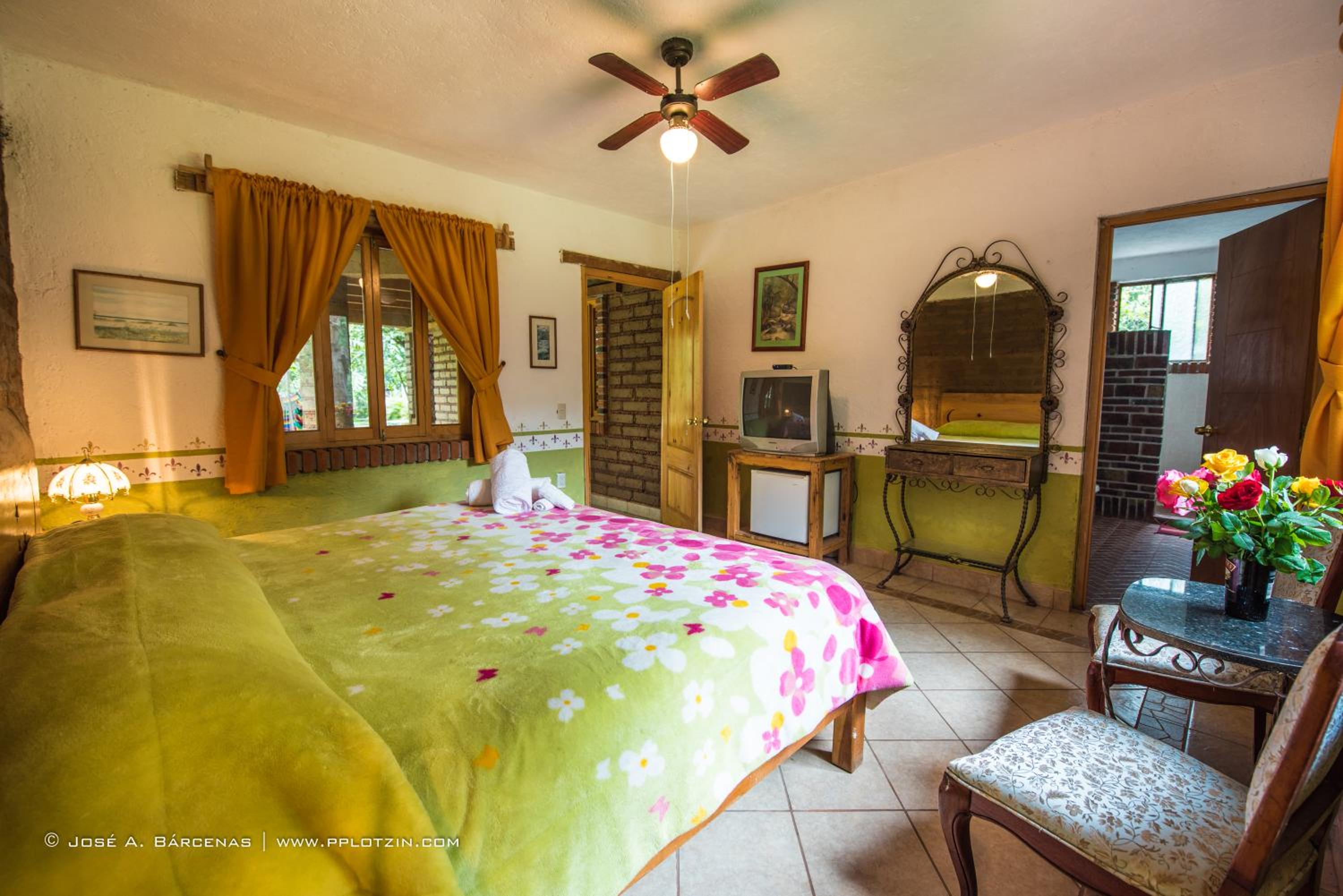 King Room with Garden View