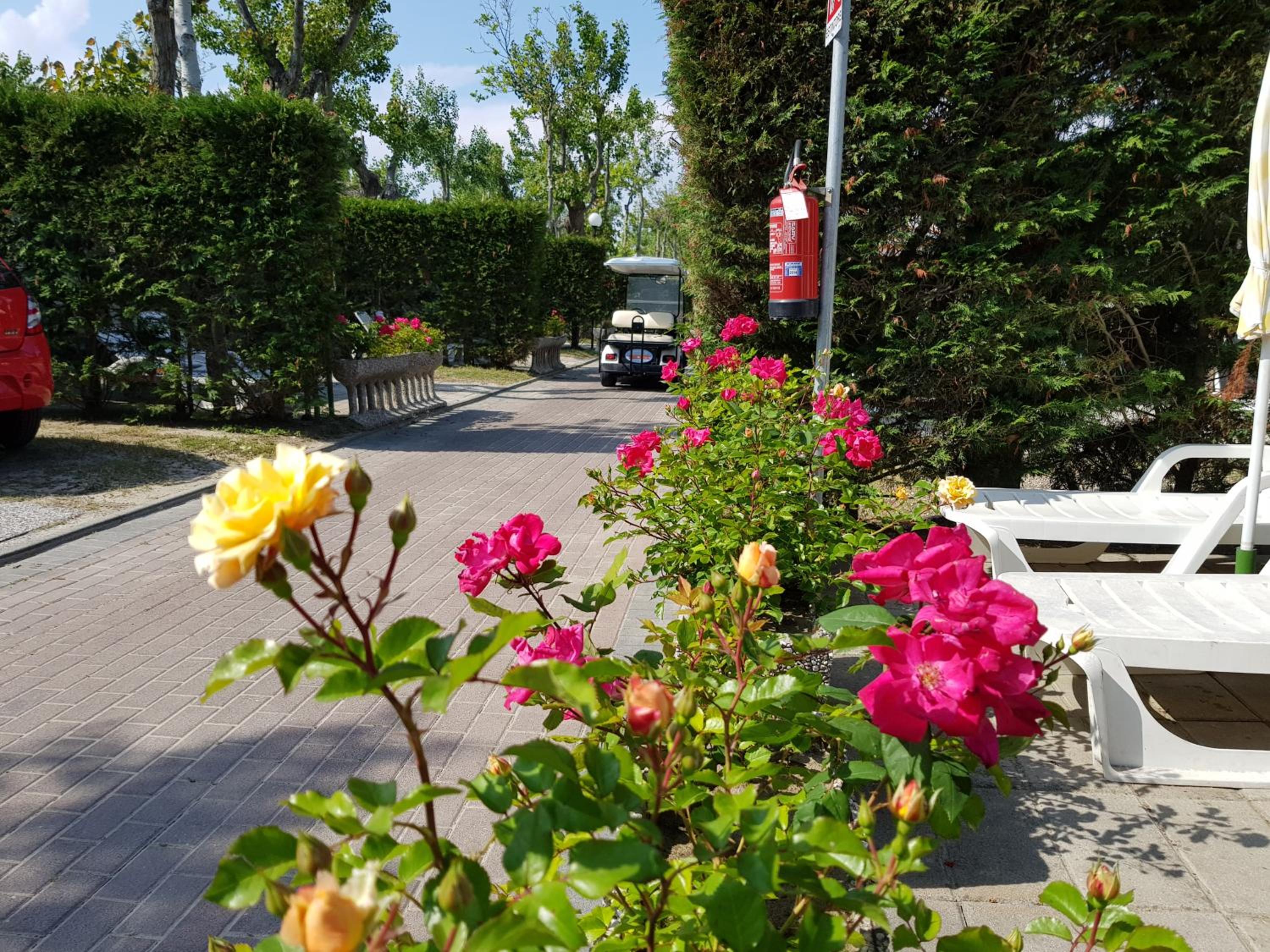 Mobile Home photo 2