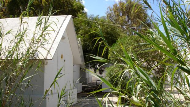 Single Beach Hut photo 3