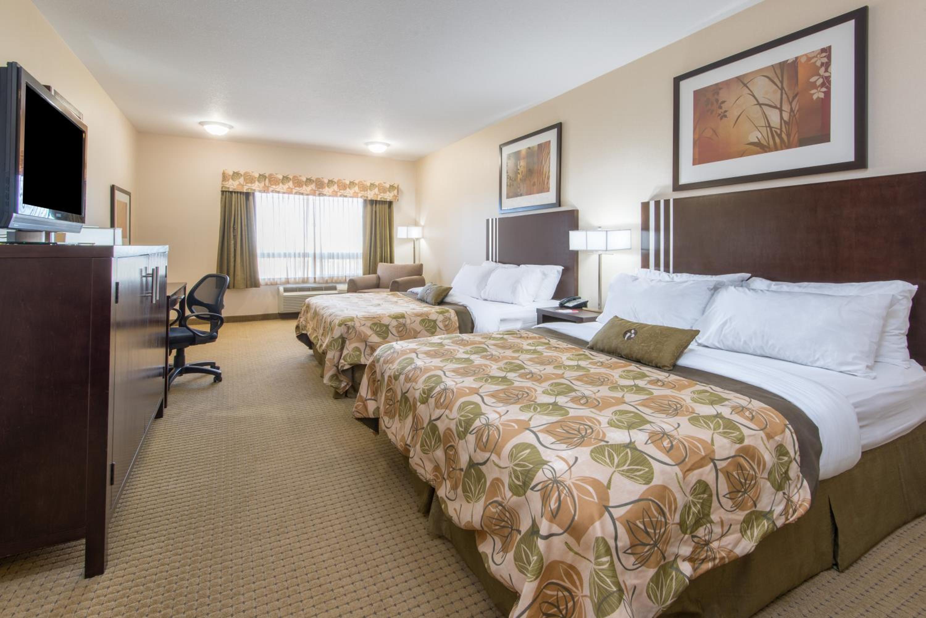 Queen Room with Two Queen Beds - Non-Smoking photo 3