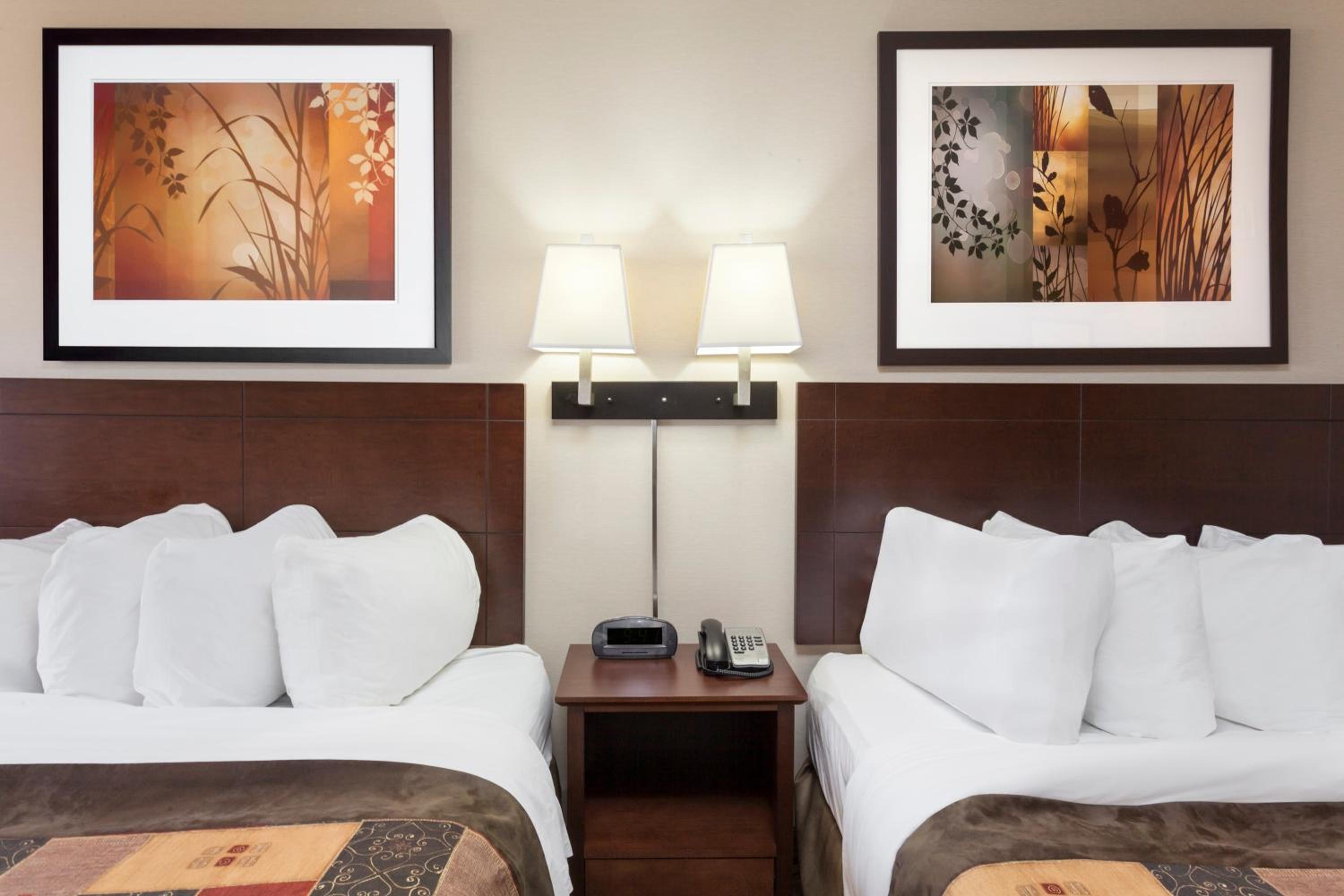 Queen Efficiency Pet-Friendly Studio with Two Queen Beds - Non-Smoking - Photo 4