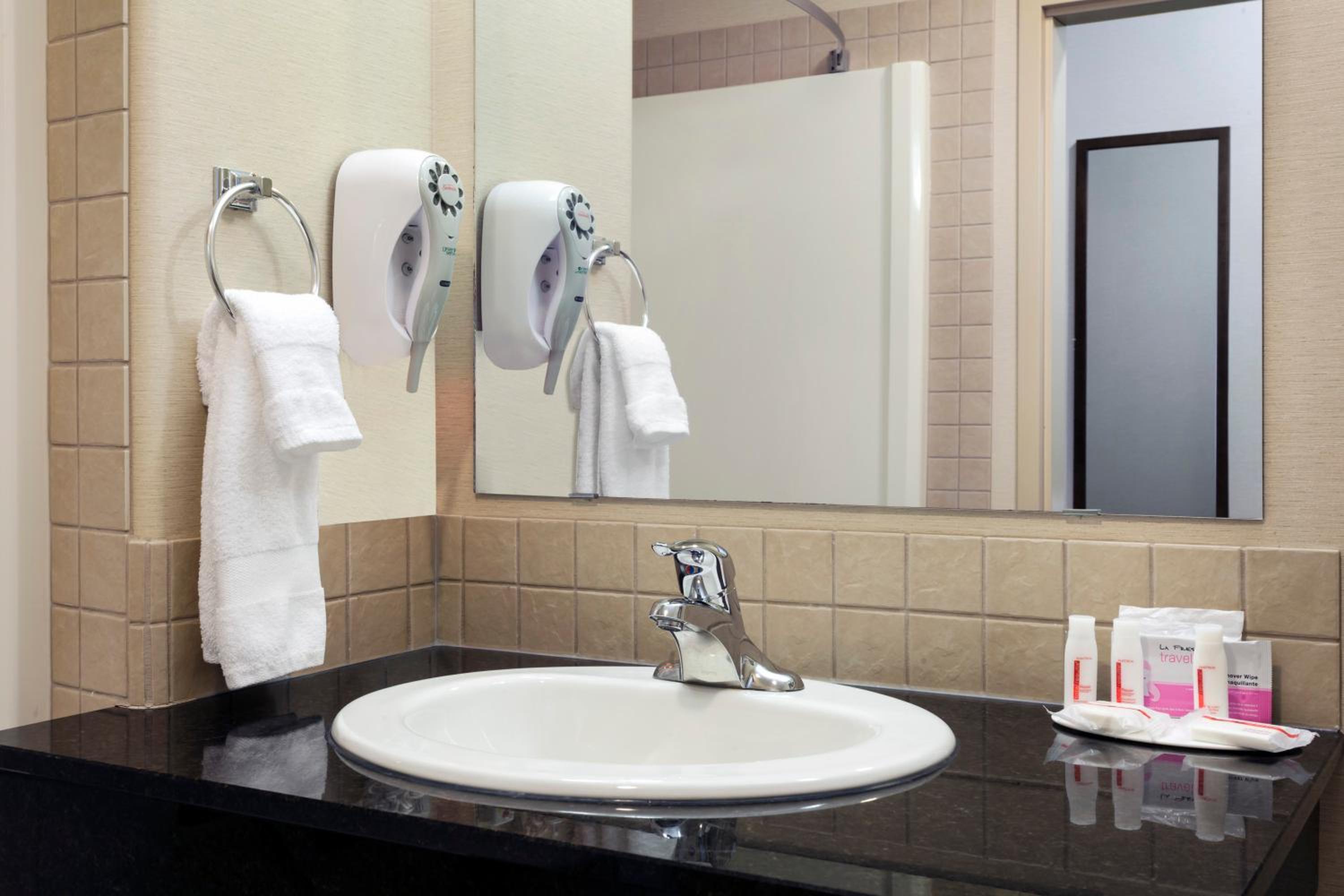 King Suite - Non-Smoking - Photo 4