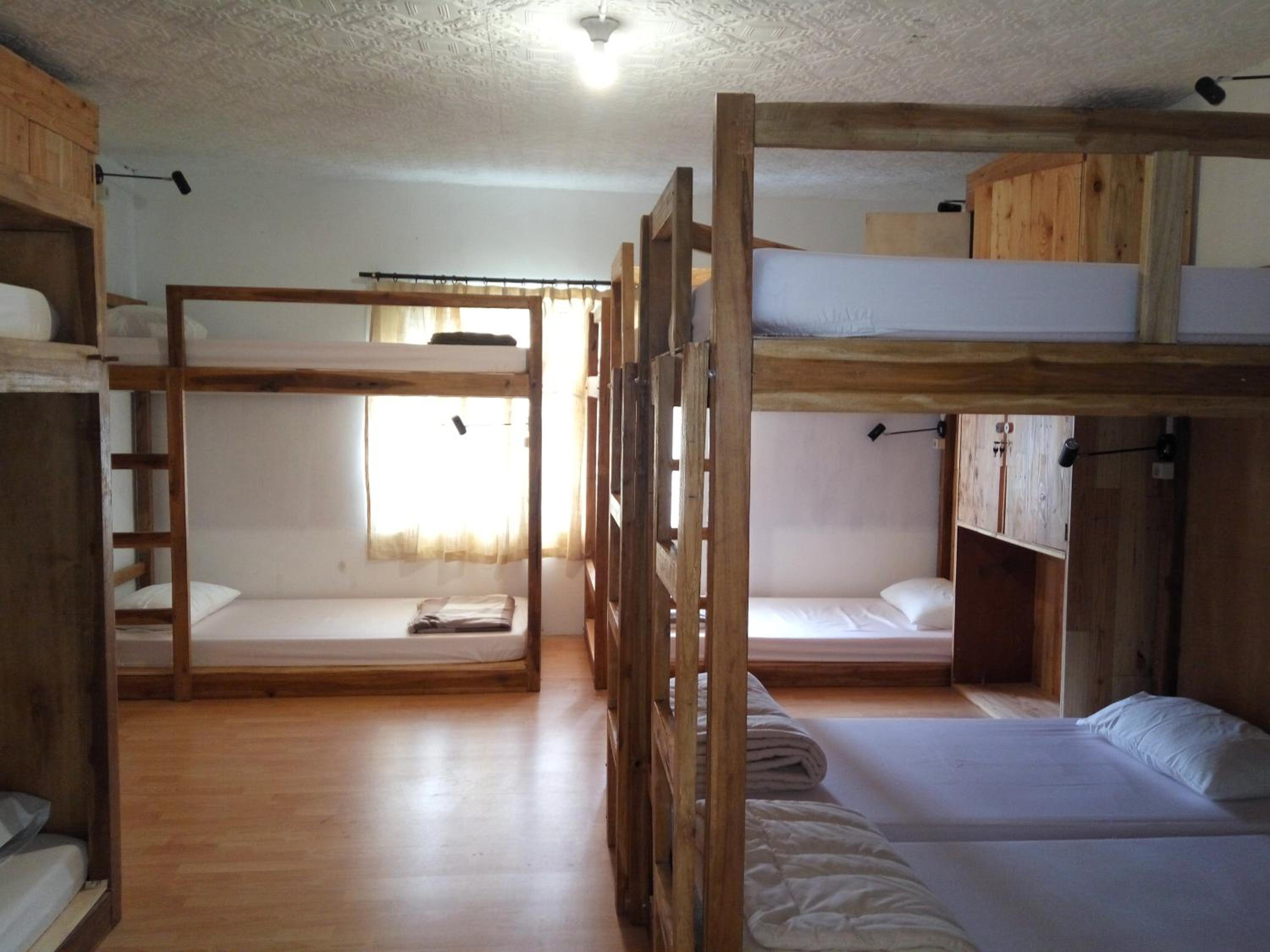 Single Bed in Mixed Dormitory Room photo 2