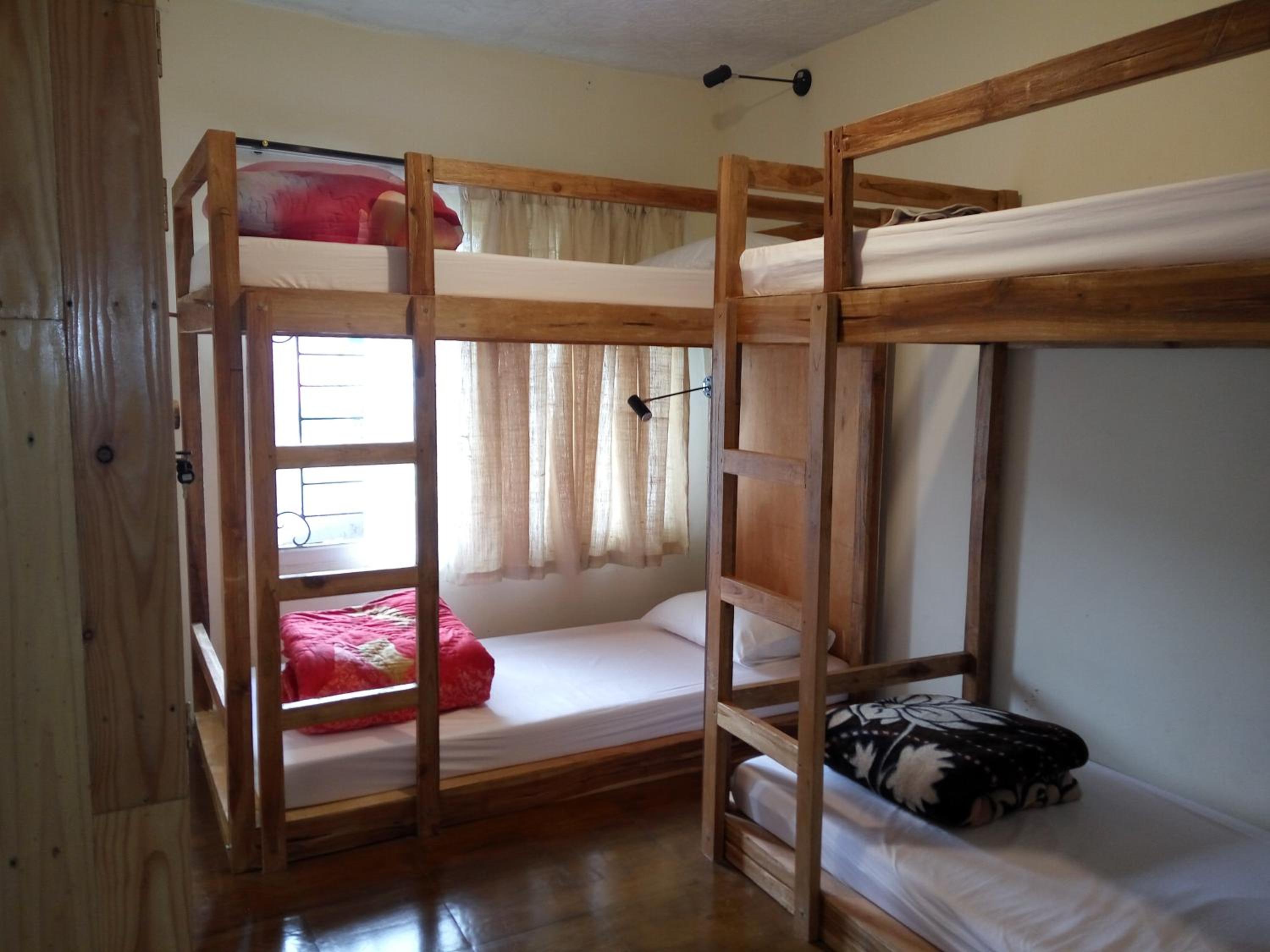 Single Bed in Mixed Dormitory Room photo 3