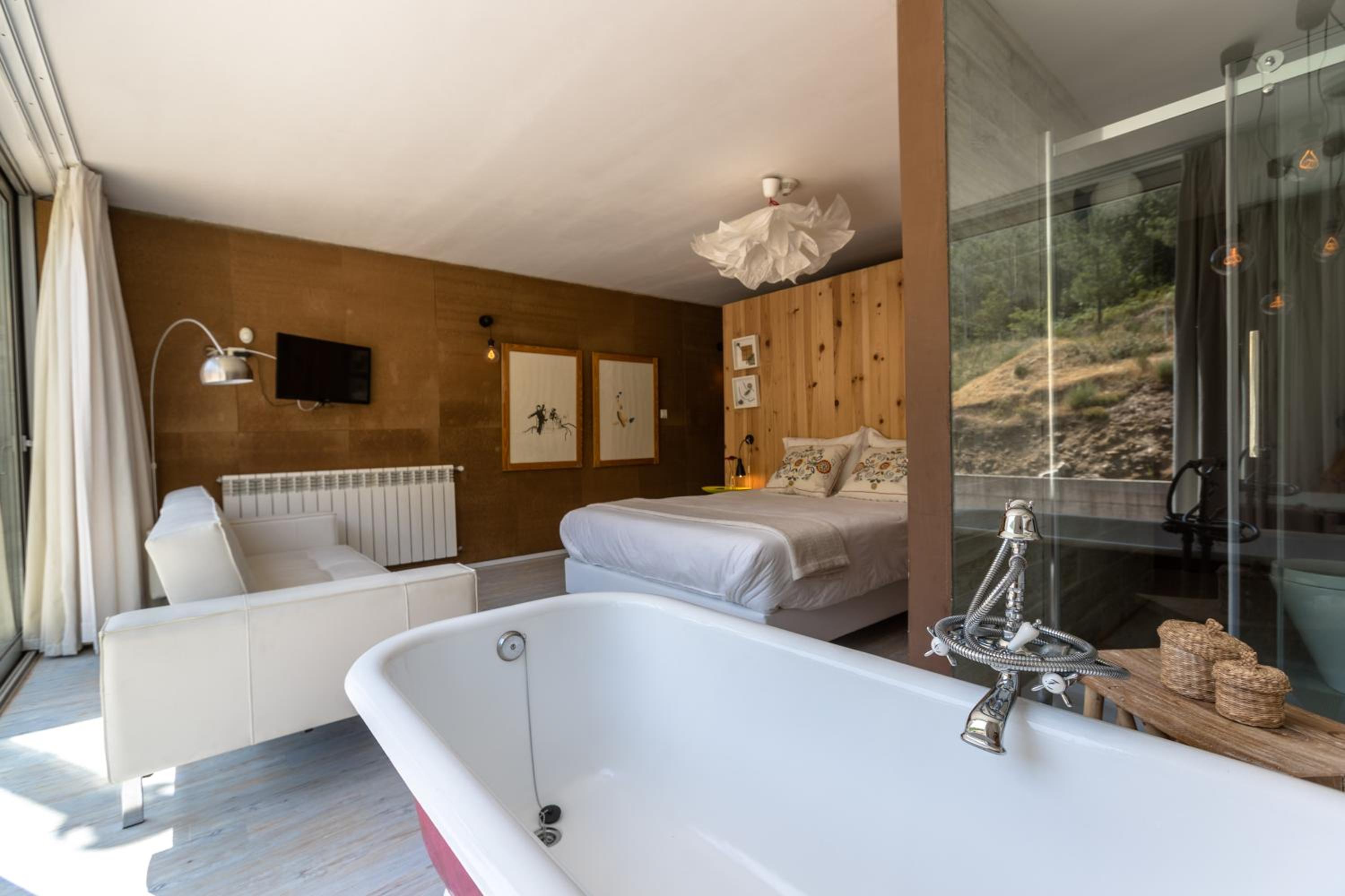Suite - Photo 2