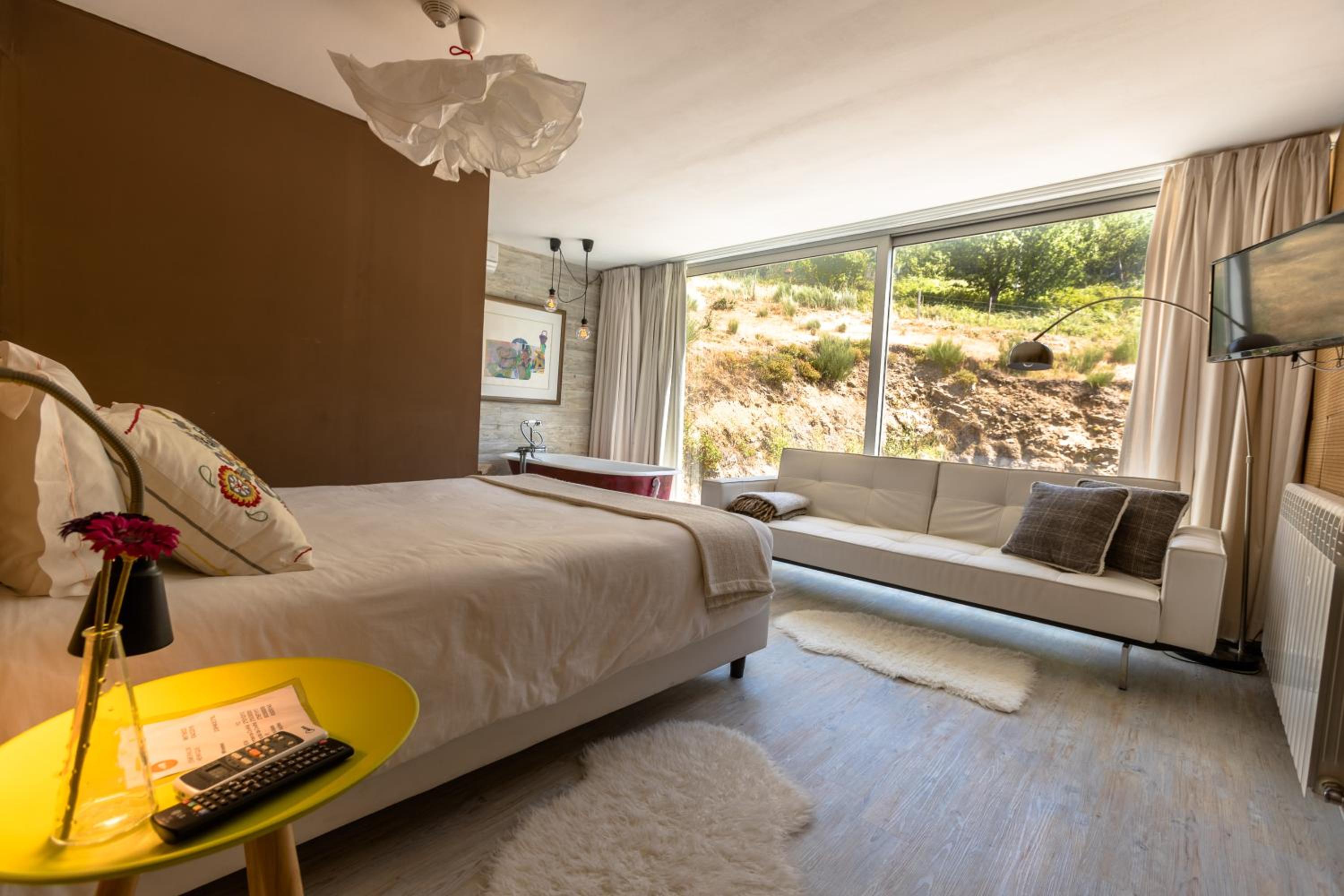 Suite - Photo 1