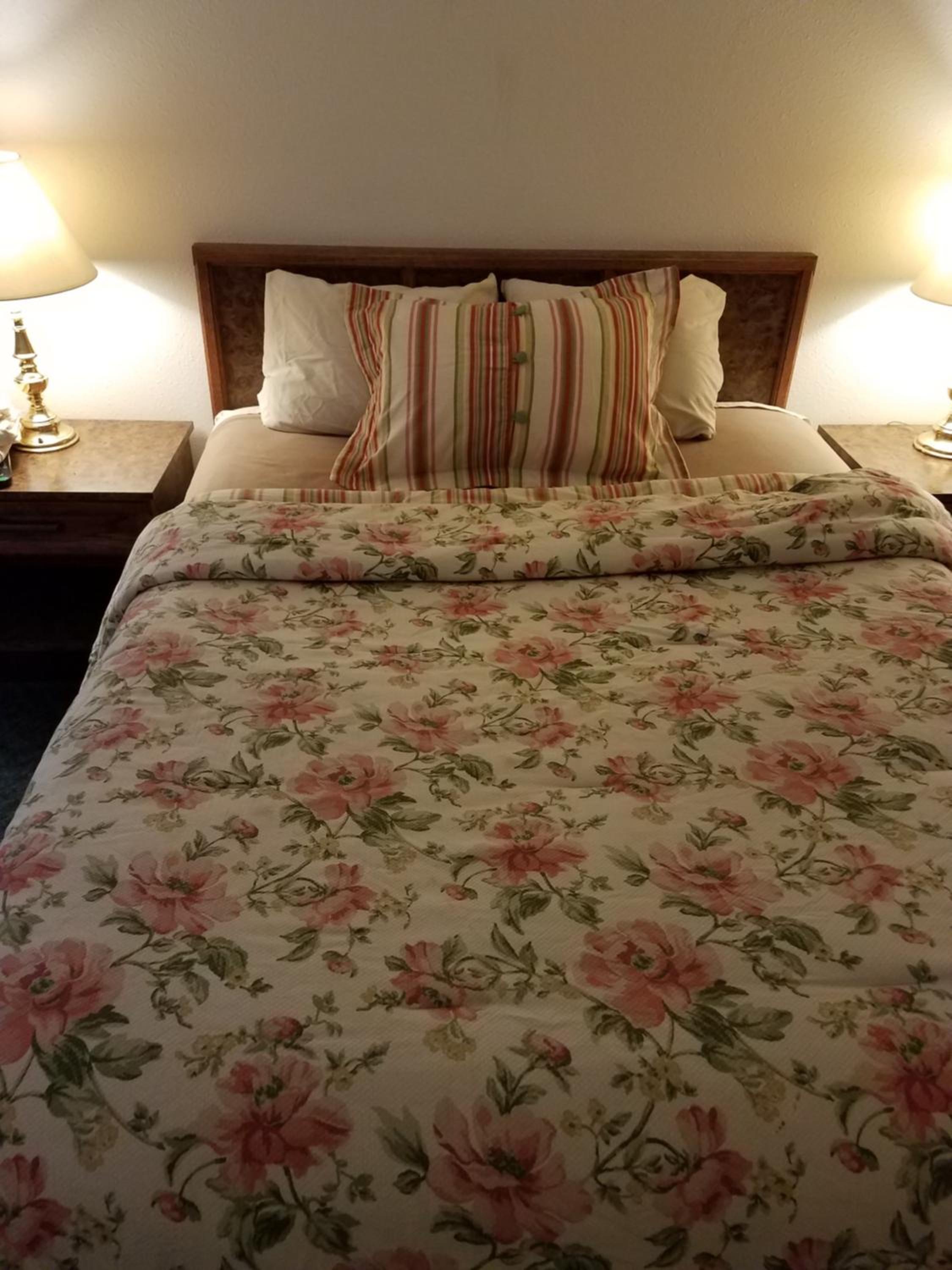 Deluxe Queen Suite photo 1