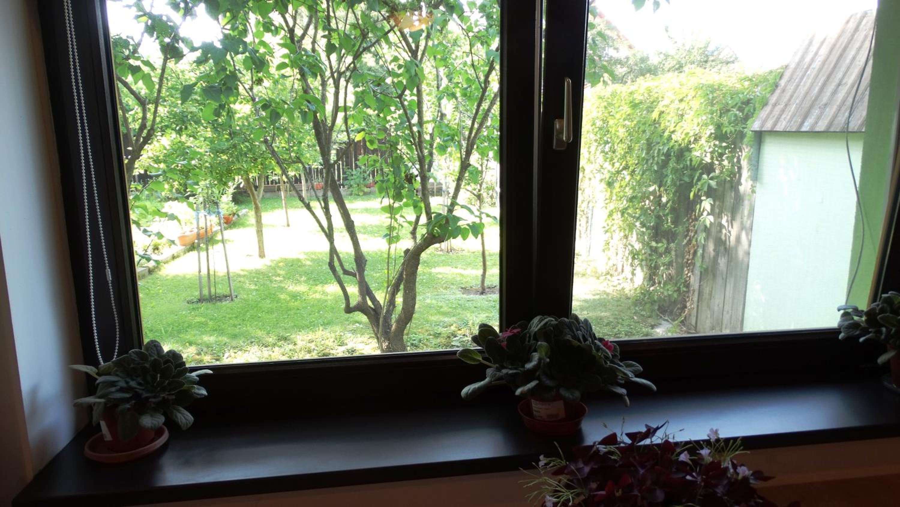 One-Bedroom Apartment - Photo 11
