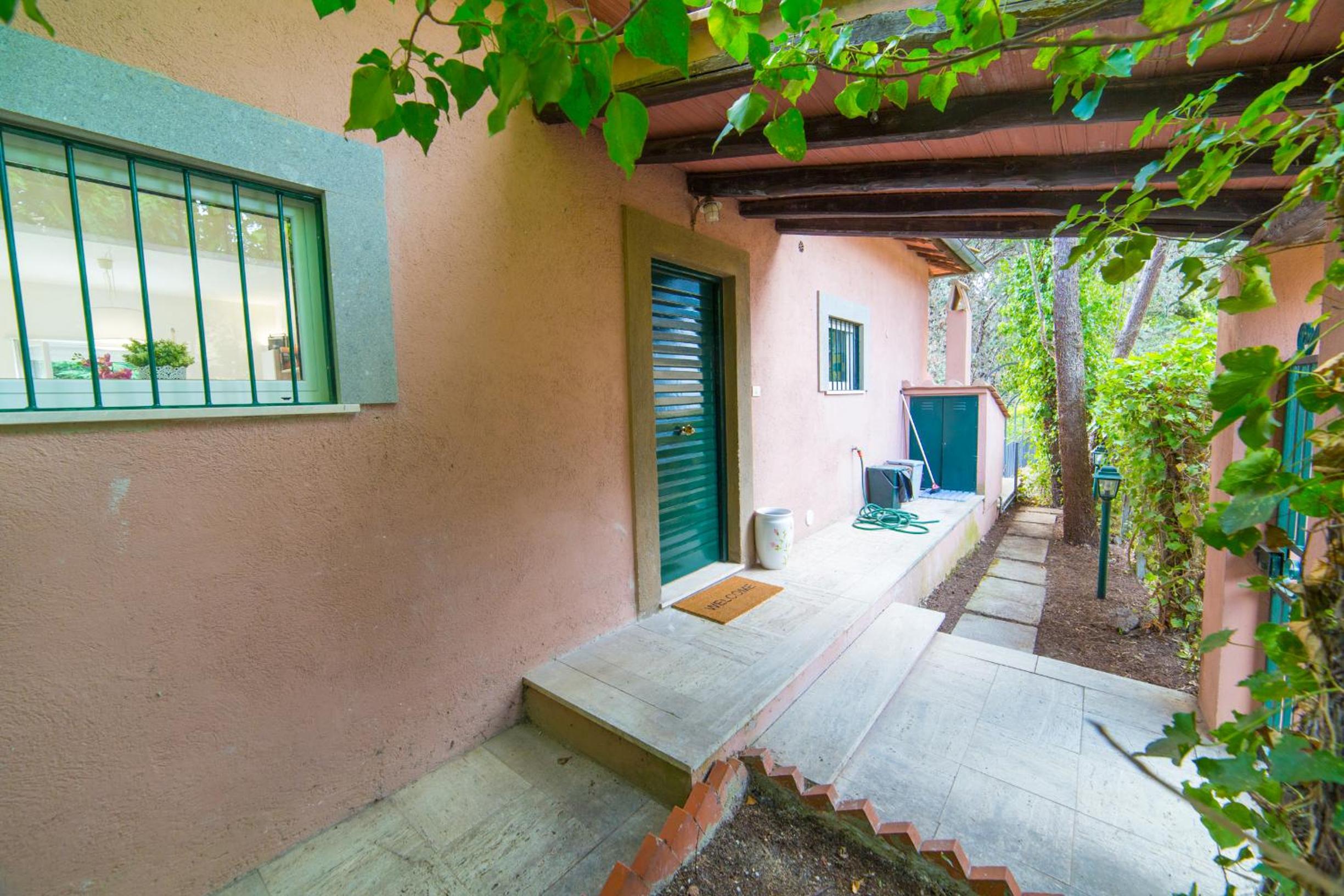 Apartment with Terrace photo 3