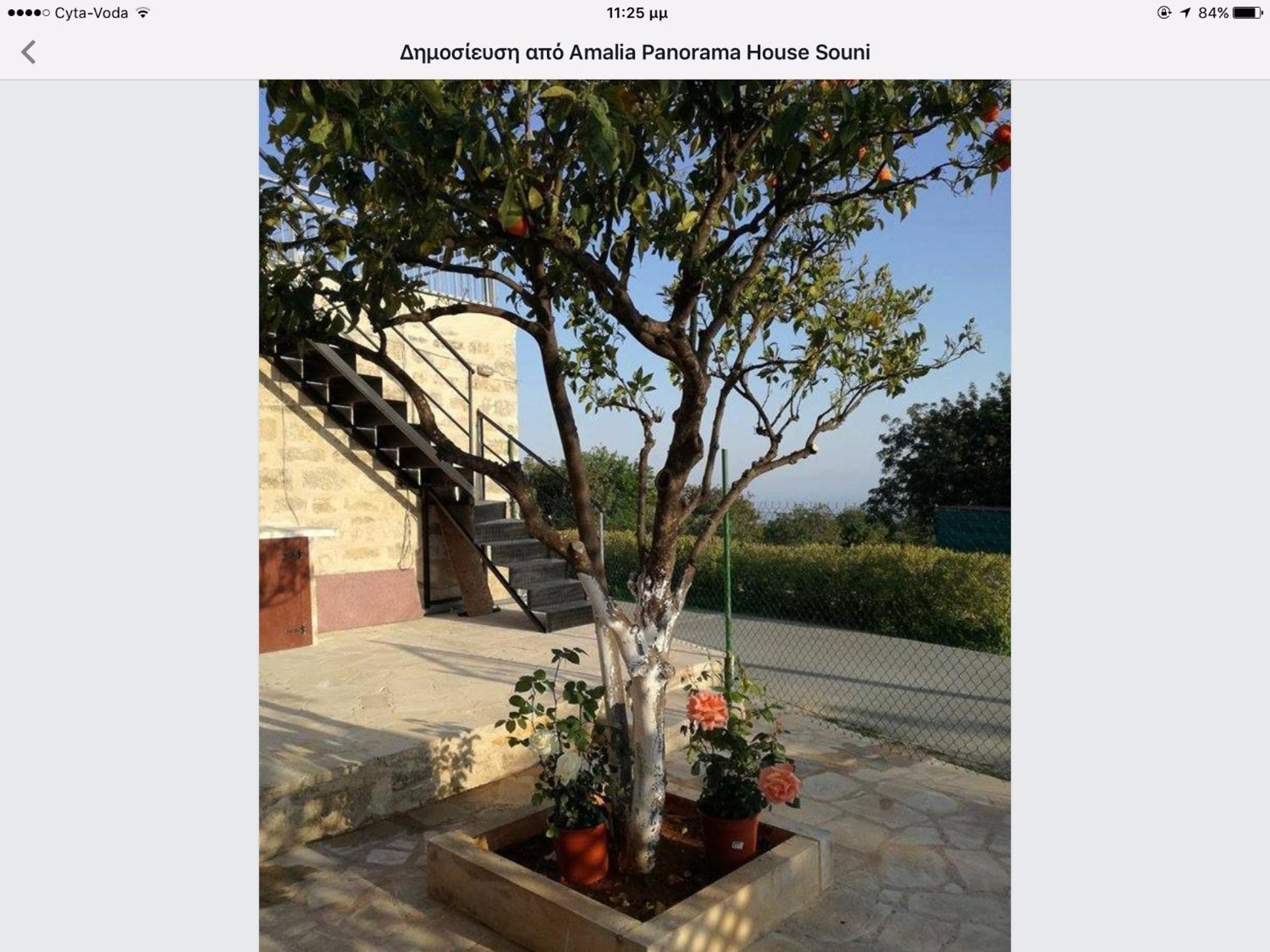 Vacation Home photo 2