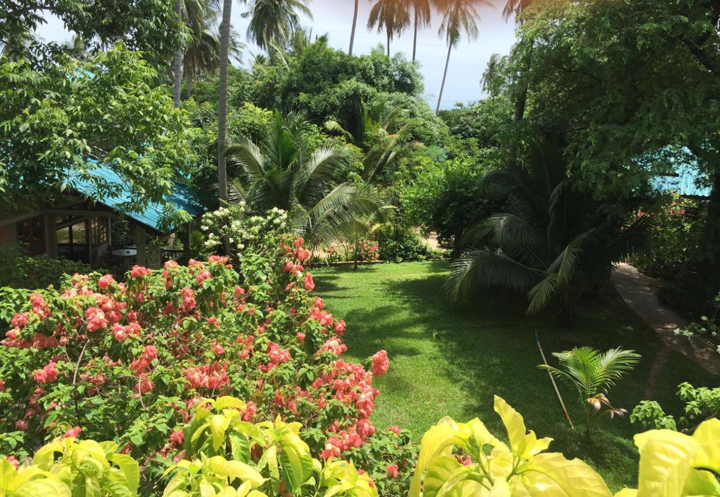 Standard Double or Twin Room with Garden View (Fan Room)