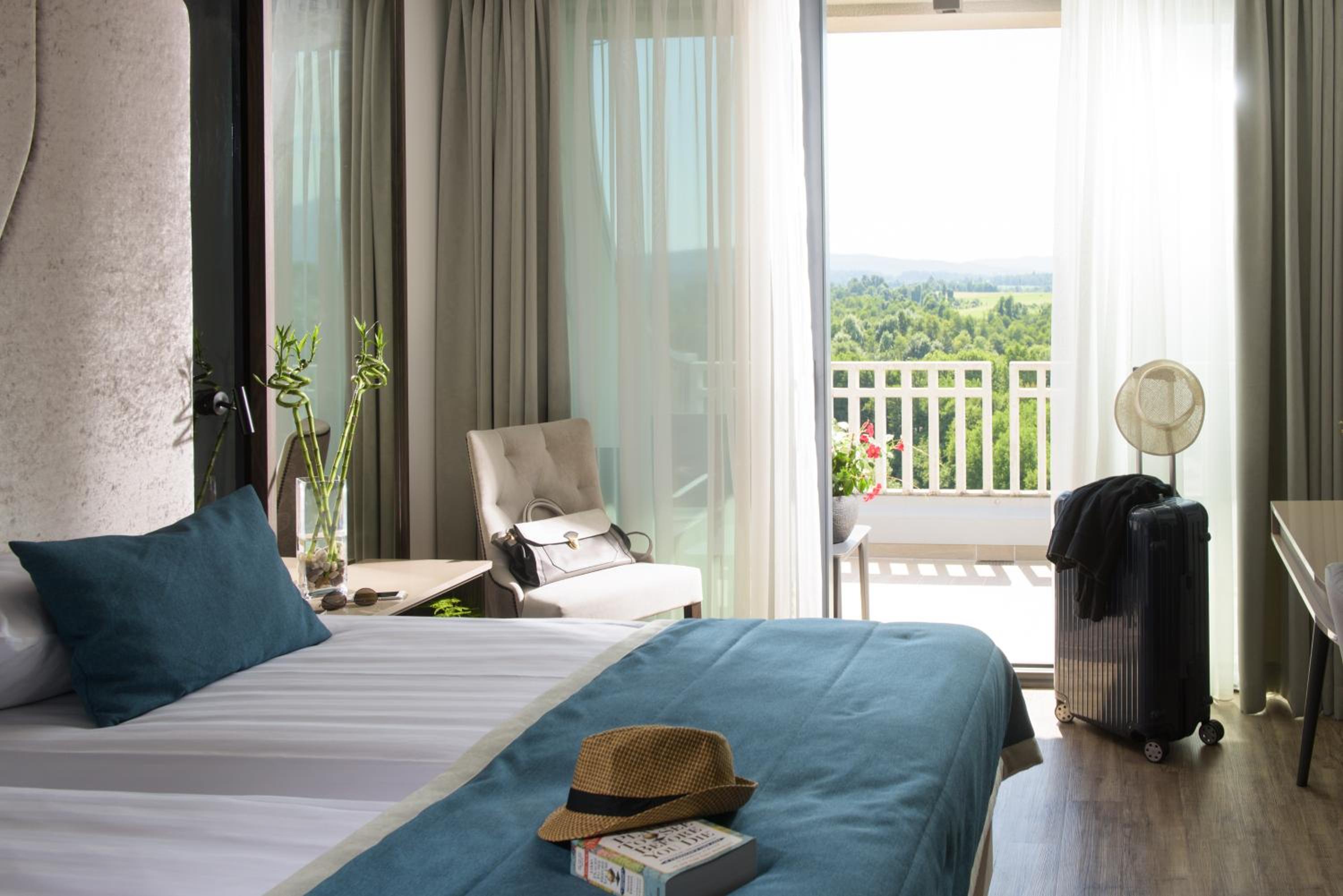 Superior Double or Twin Room with Balcony and Park View