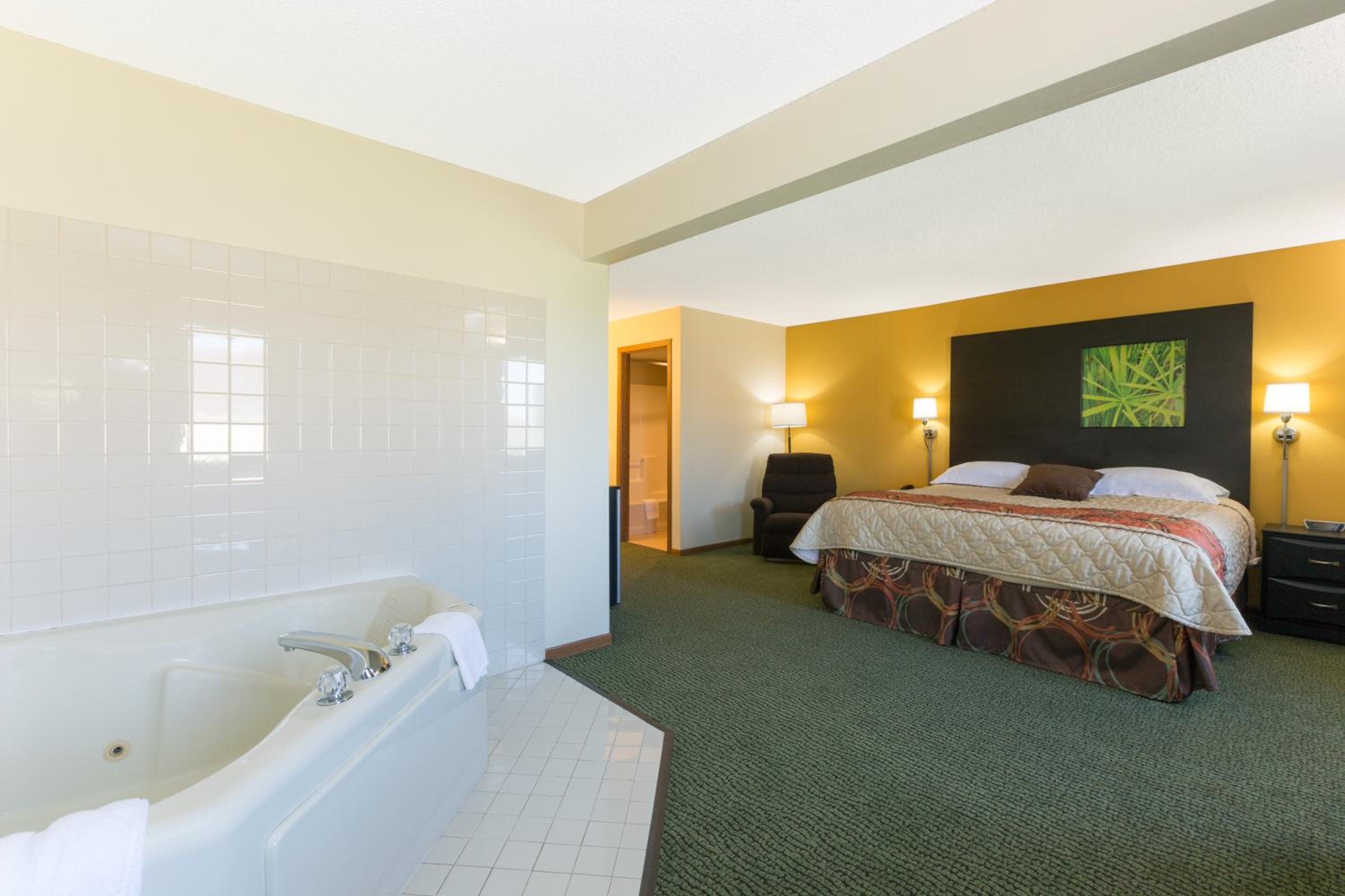 Deluxe King Studio Suite - Non-Smoking photo 2