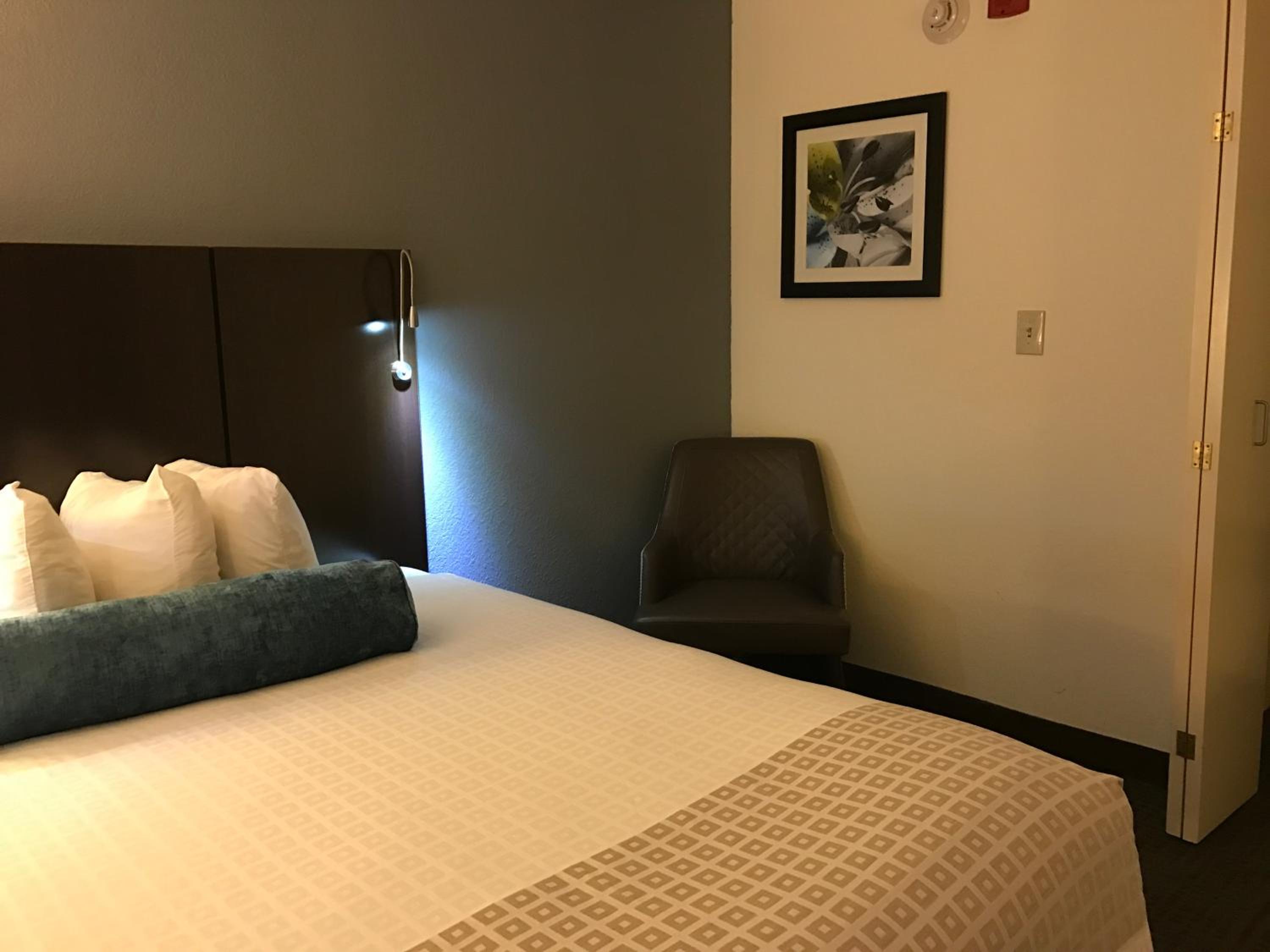 King Room with Roll-in Shower - Disability Access/Non-Smoking - Photo 6
