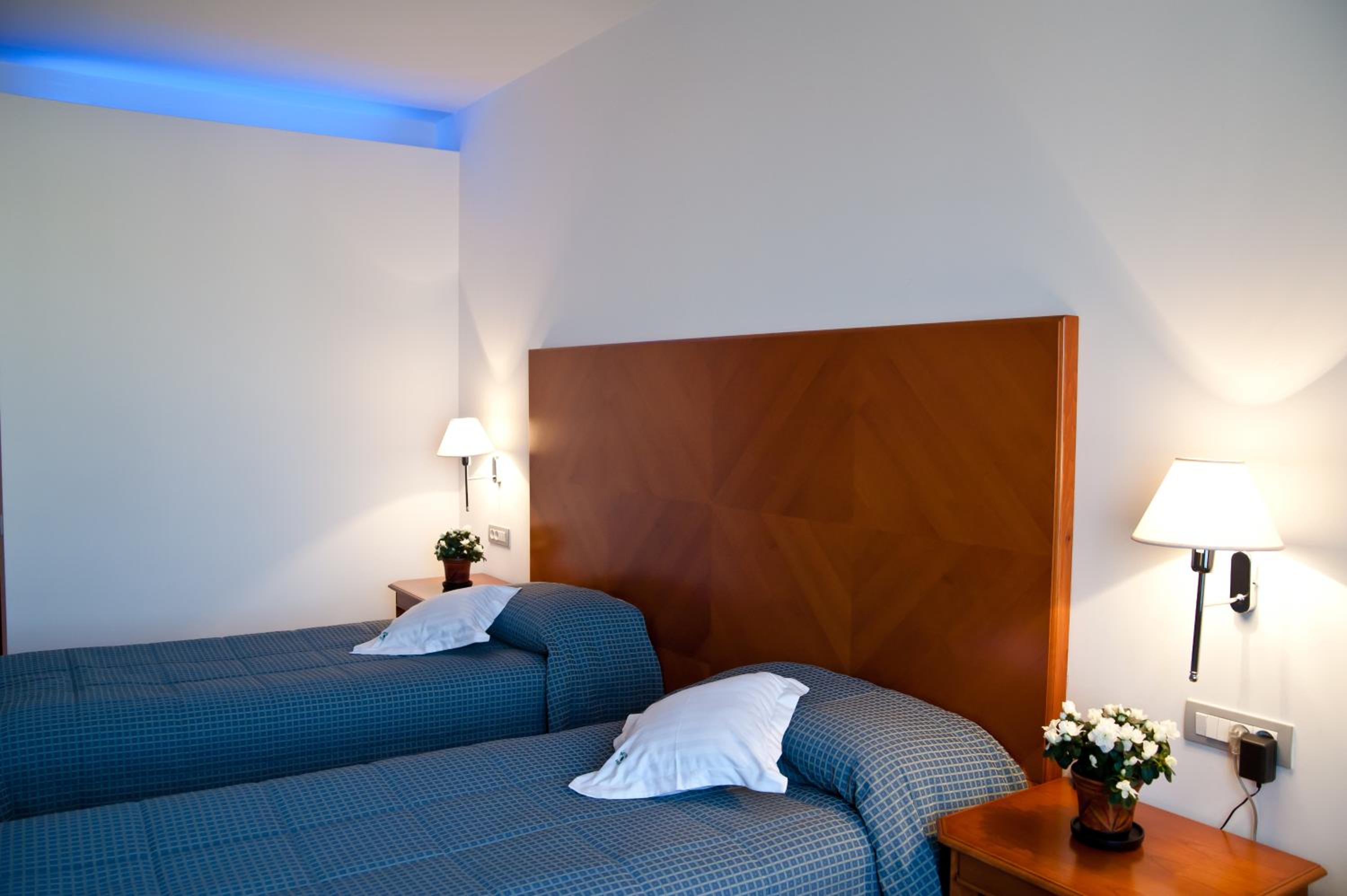 Deluxe Double or Twin Room photo 2