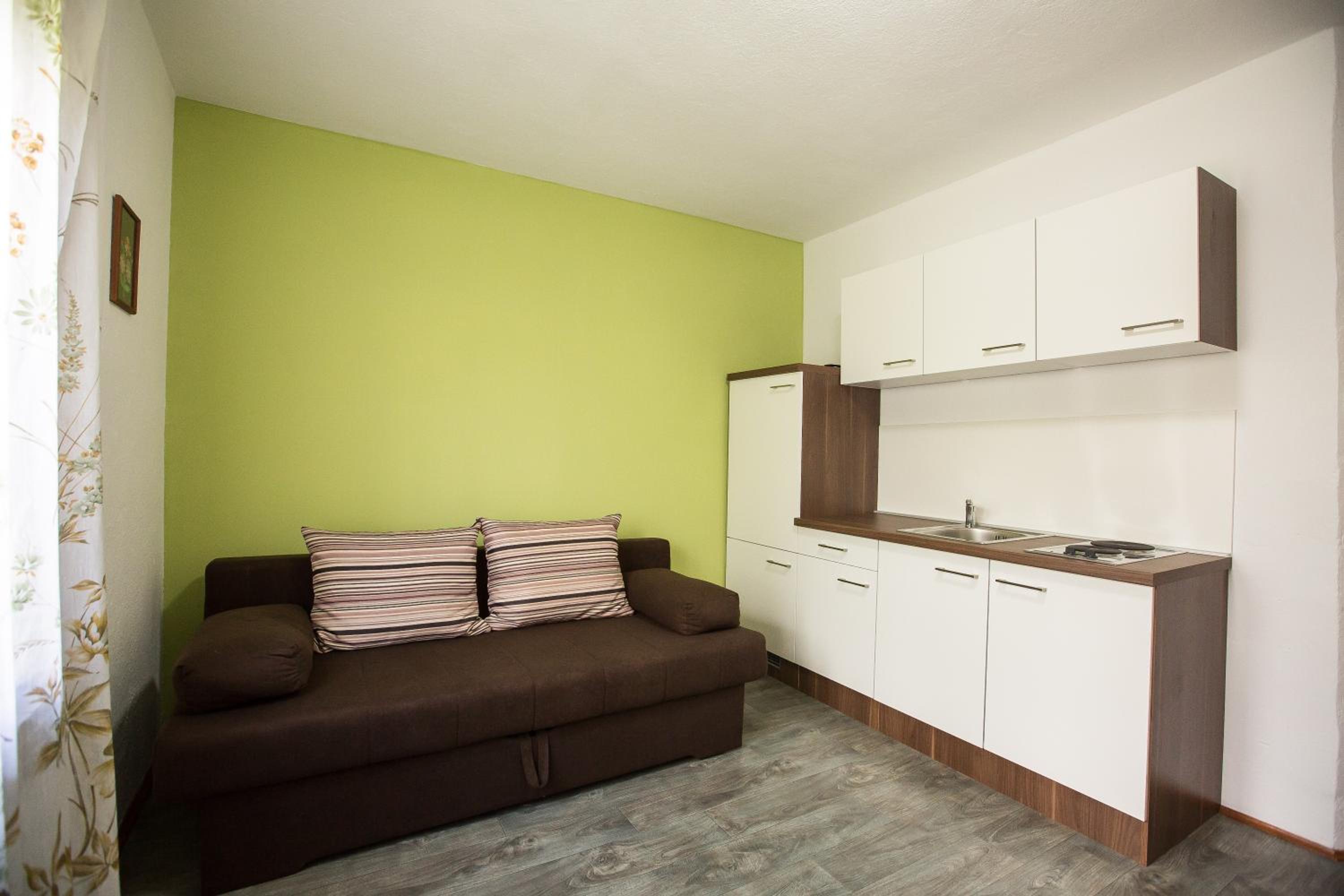 One-Bedroom Apartment photo 3