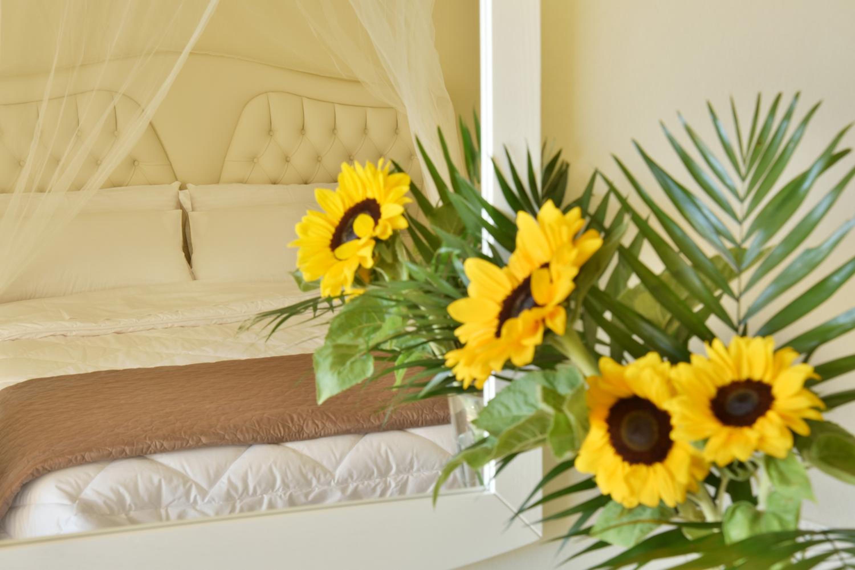 Junior Suite photo 1