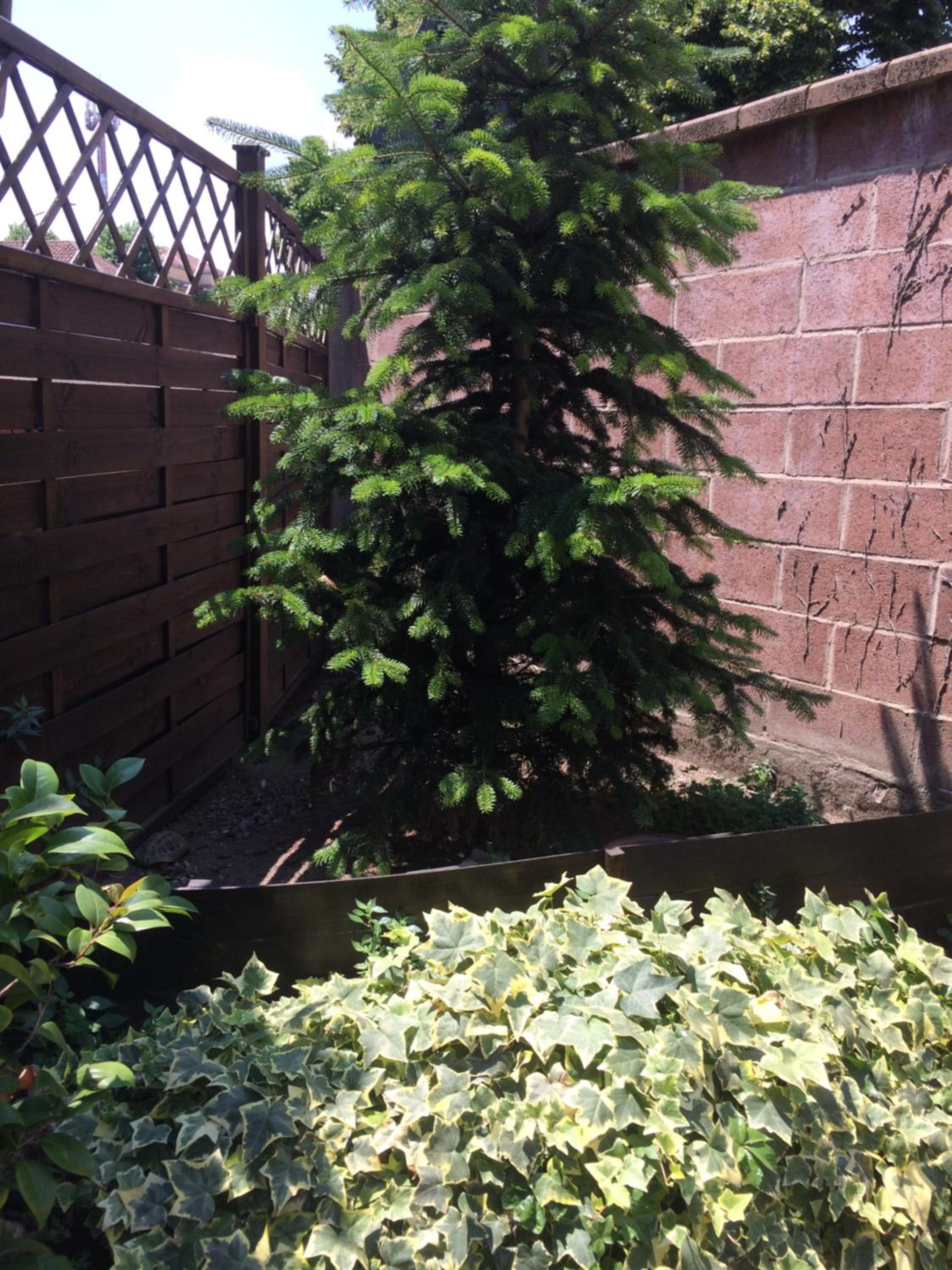 Apartment - Ground Floor - Photo 49