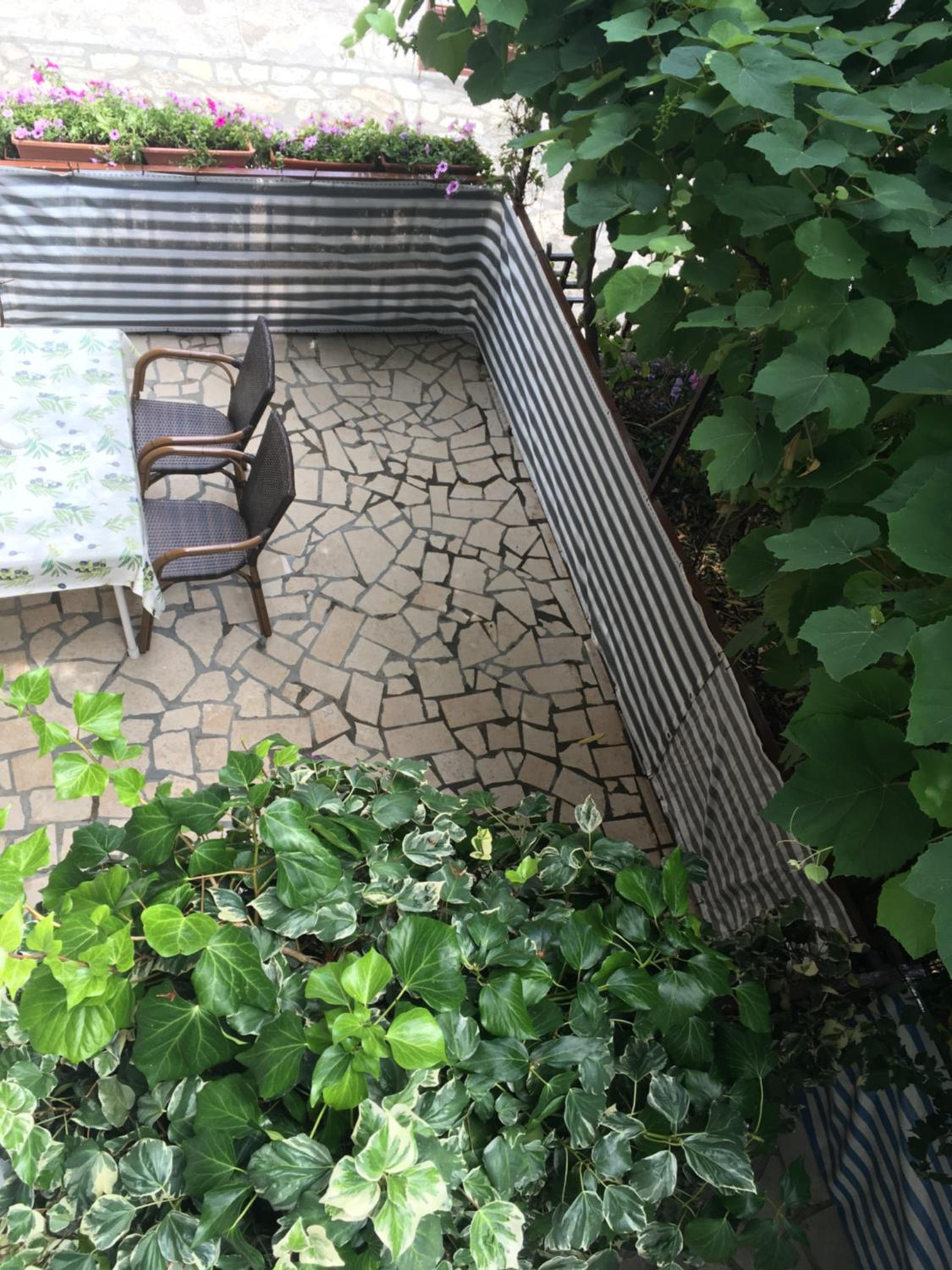 Apartment with Terrace photo 3