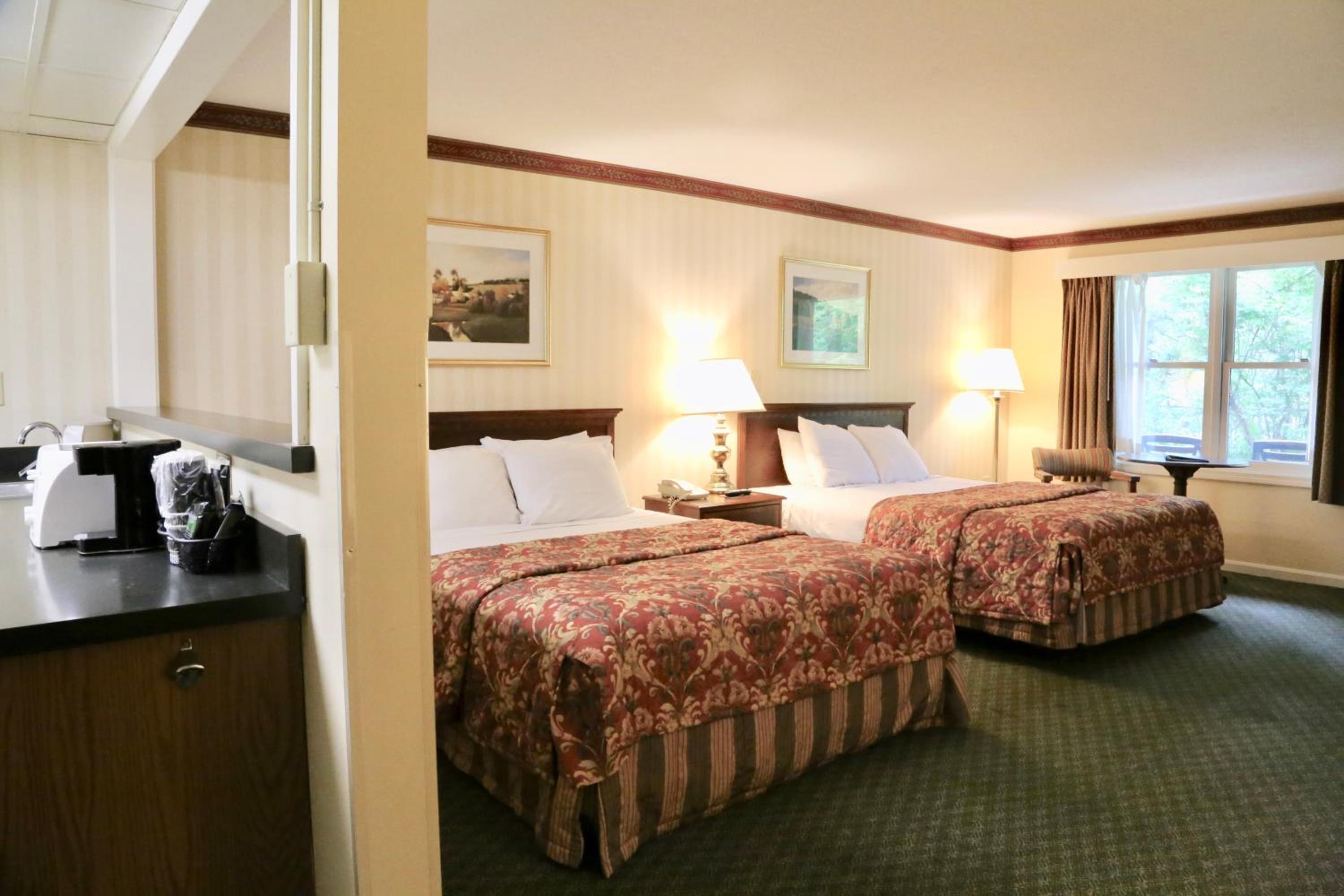 Mini Suite photo 1