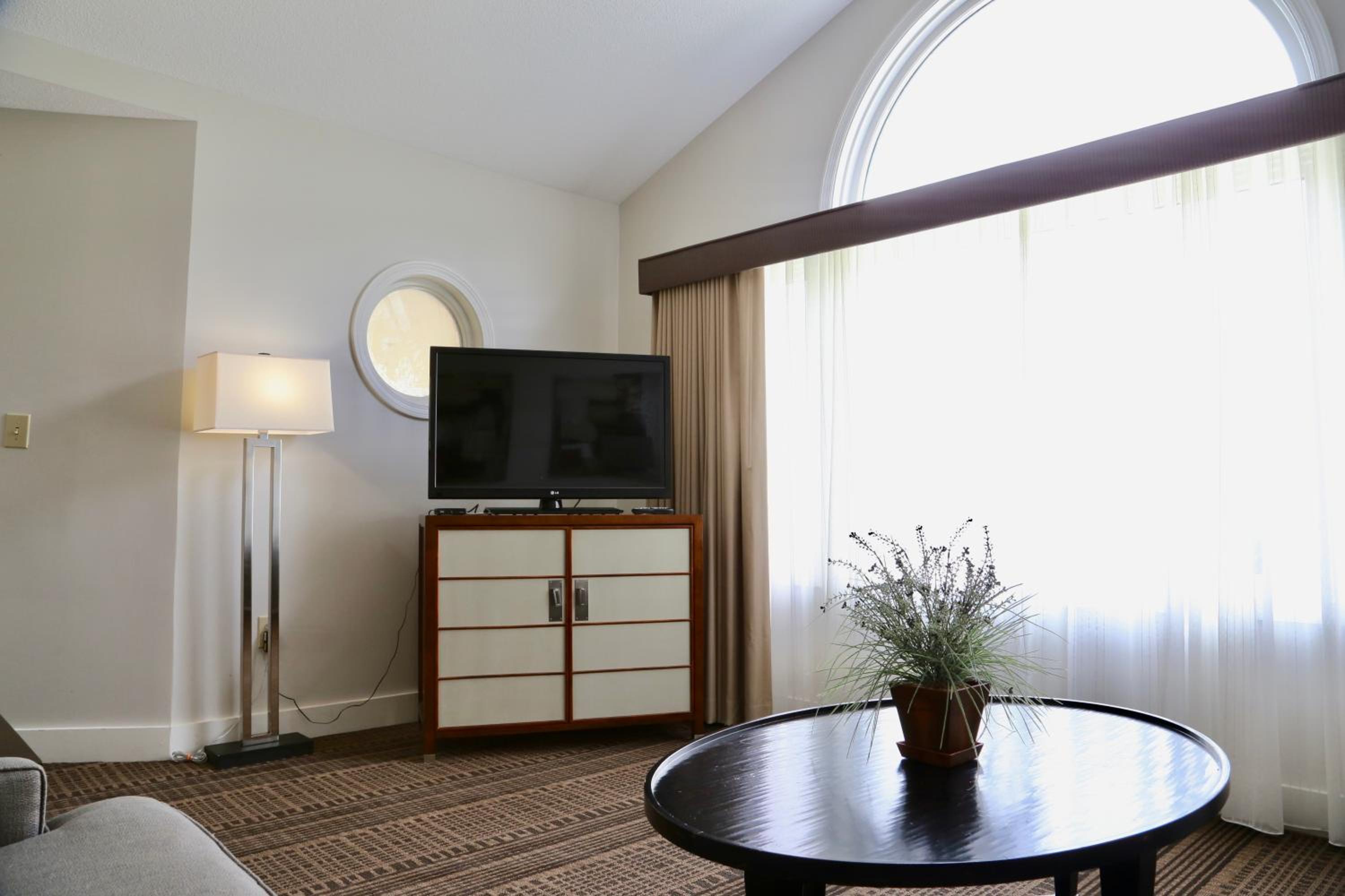 Mini Suite photo 3
