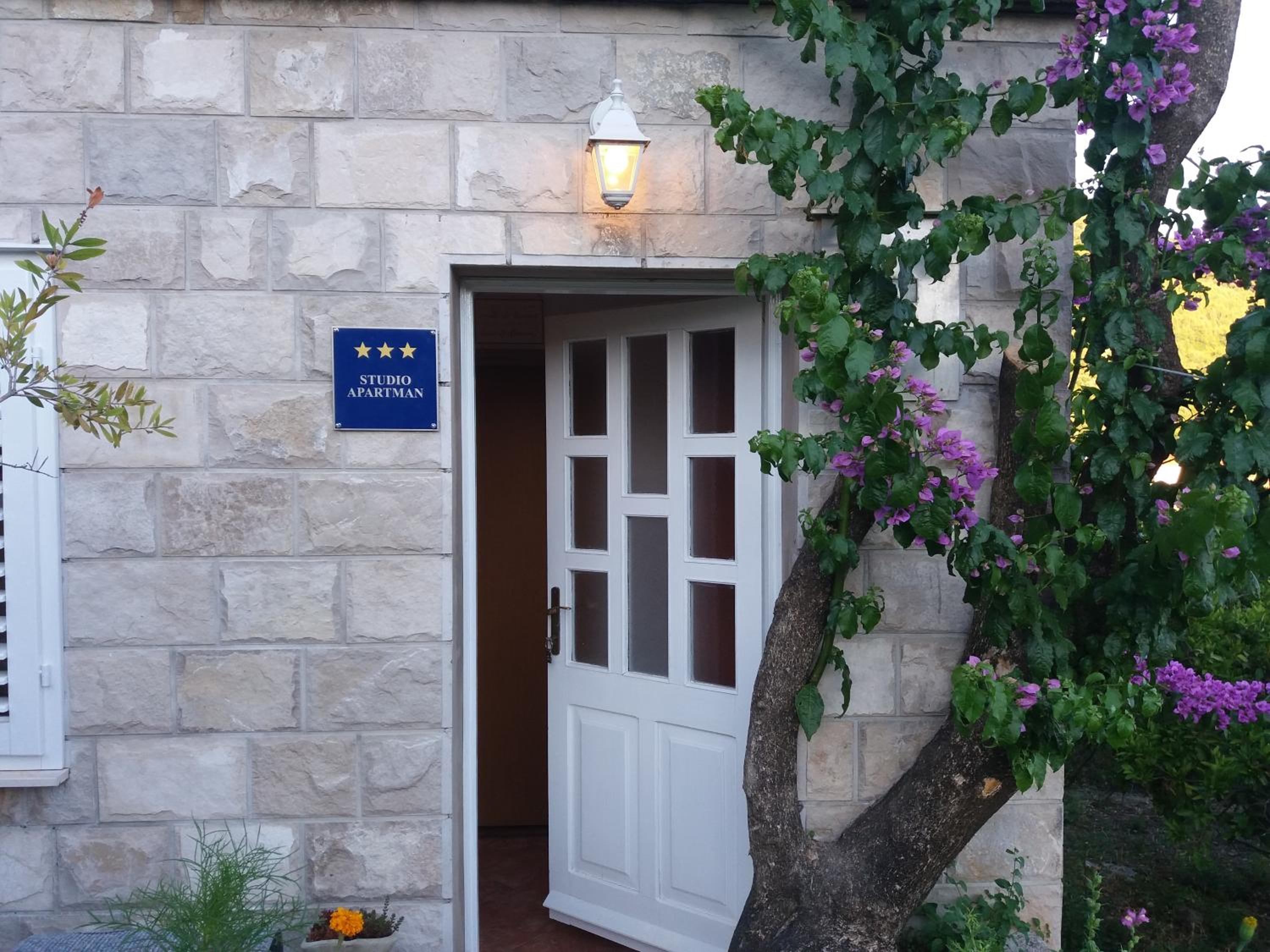 Studio Apartment with Sea View photo 2