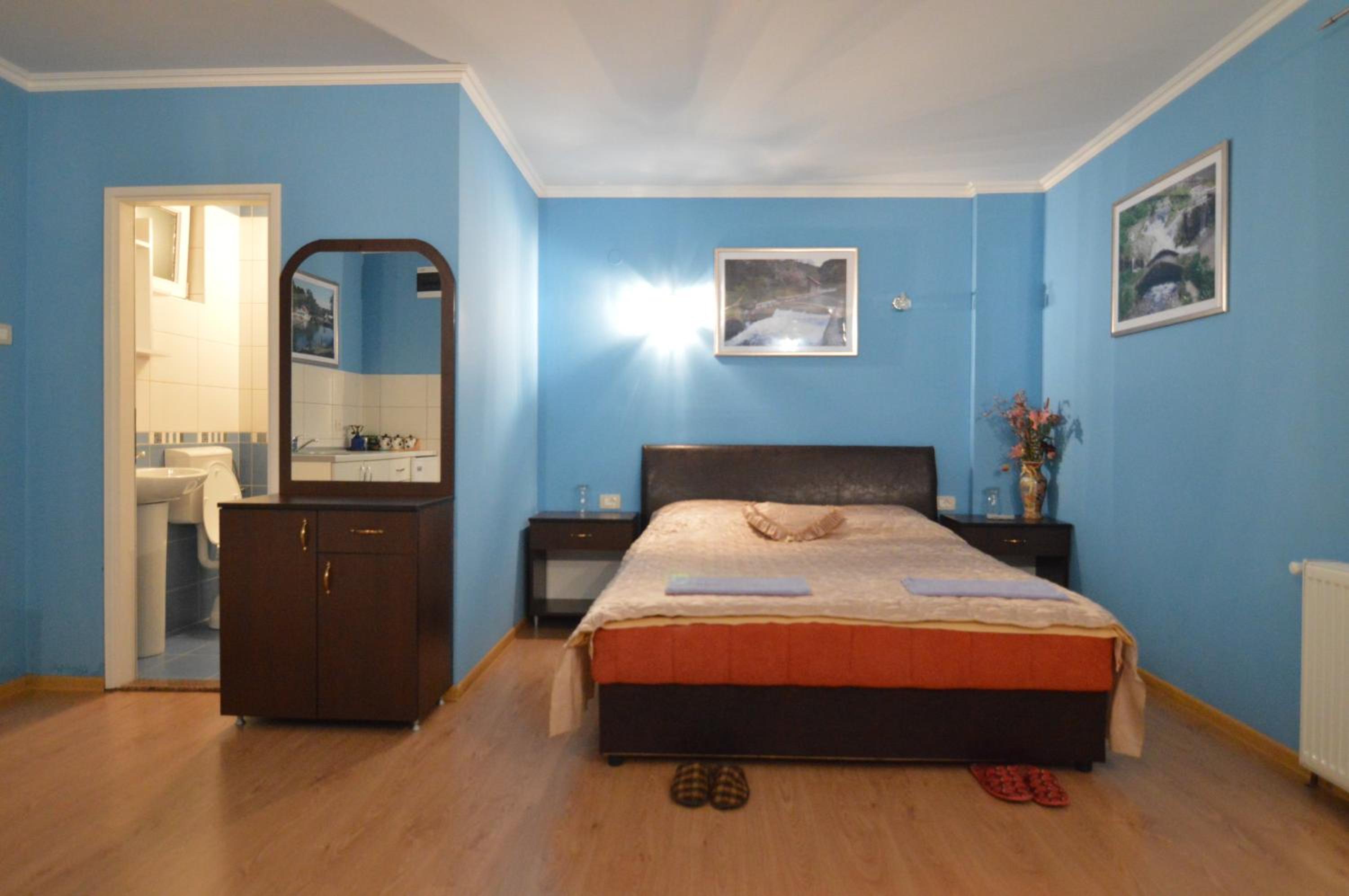 Deluxe Double or Twin Room photo 3
