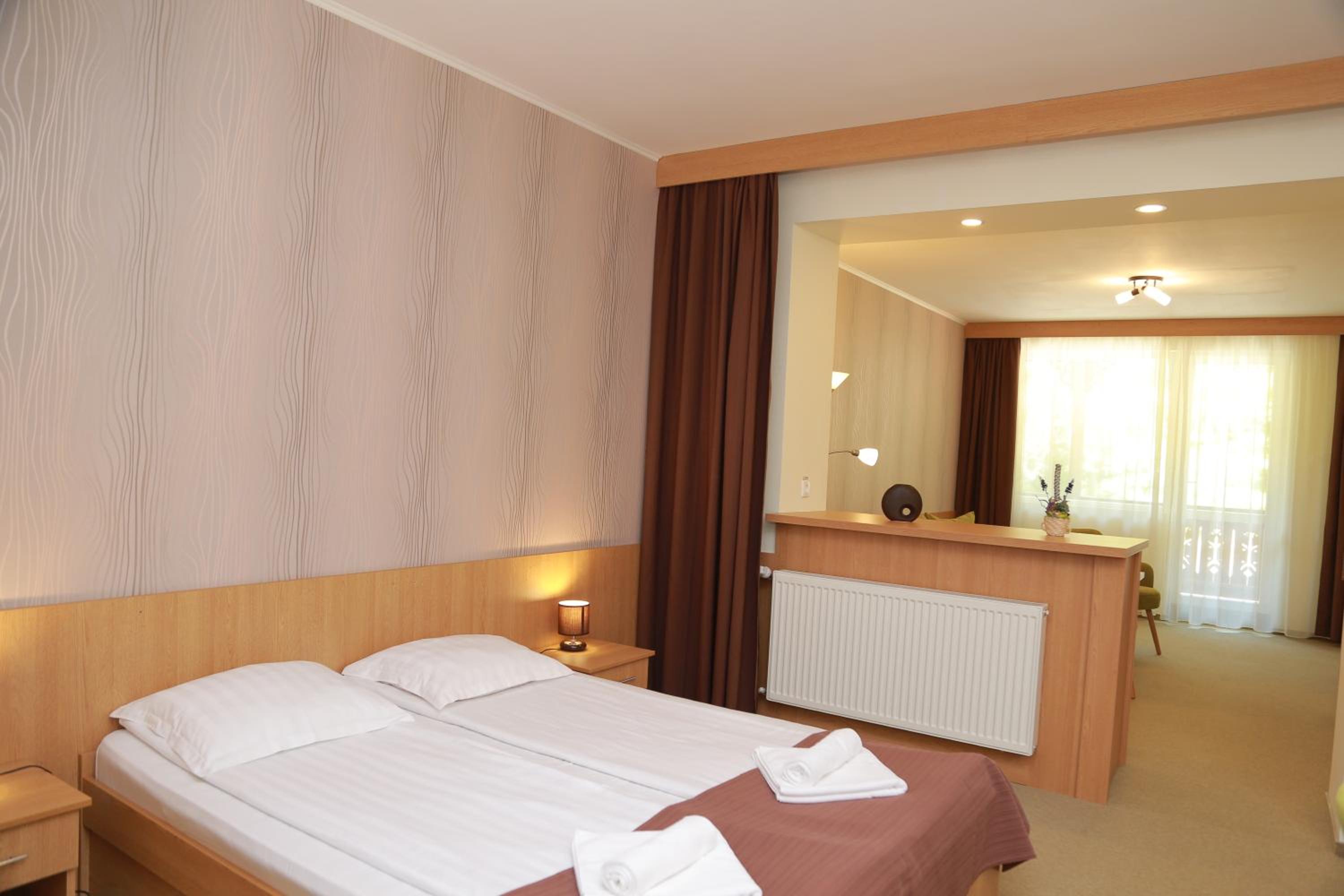 Suite with Spa Access photo 1