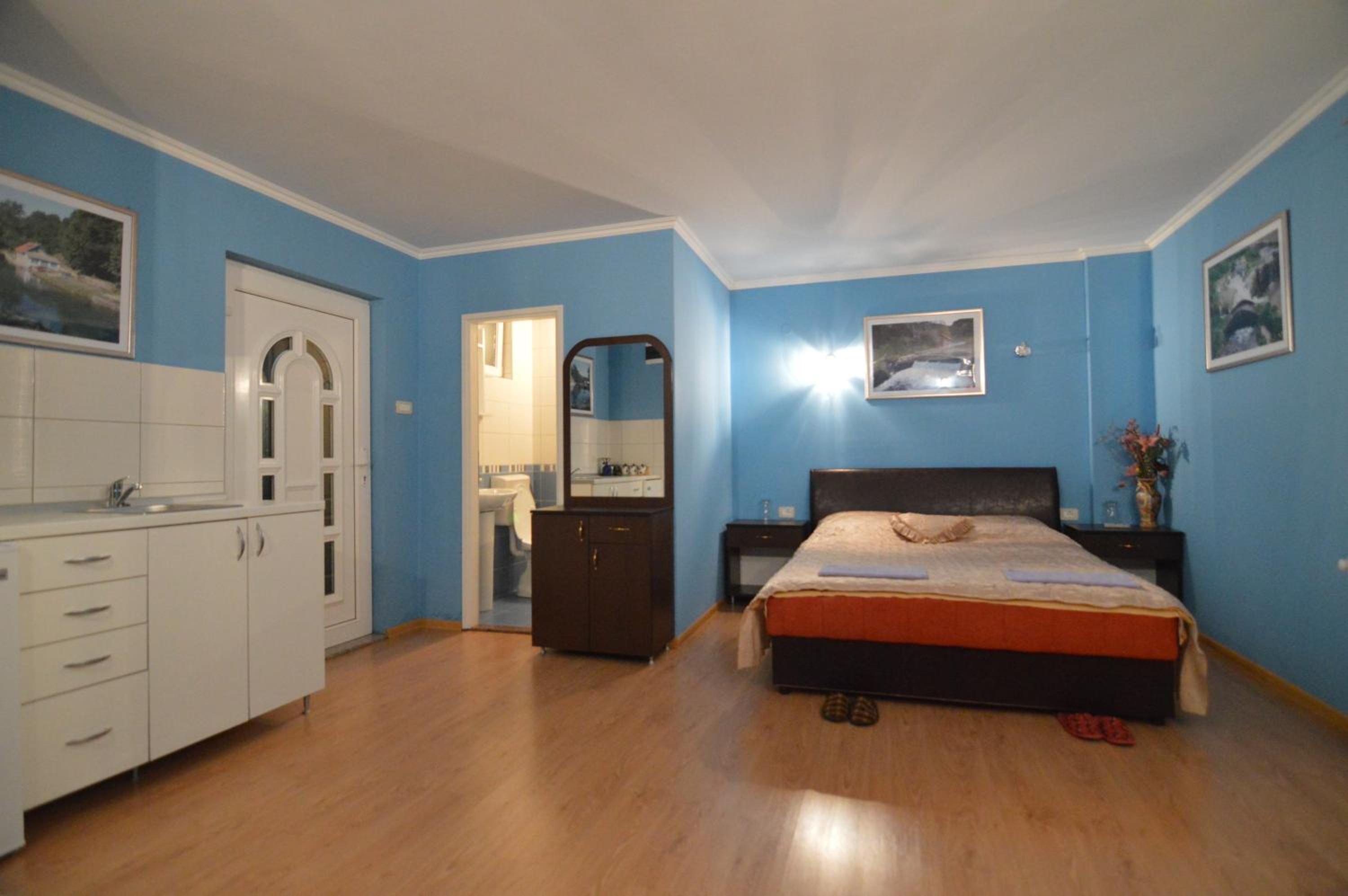 Deluxe Double or Twin Room photo 2